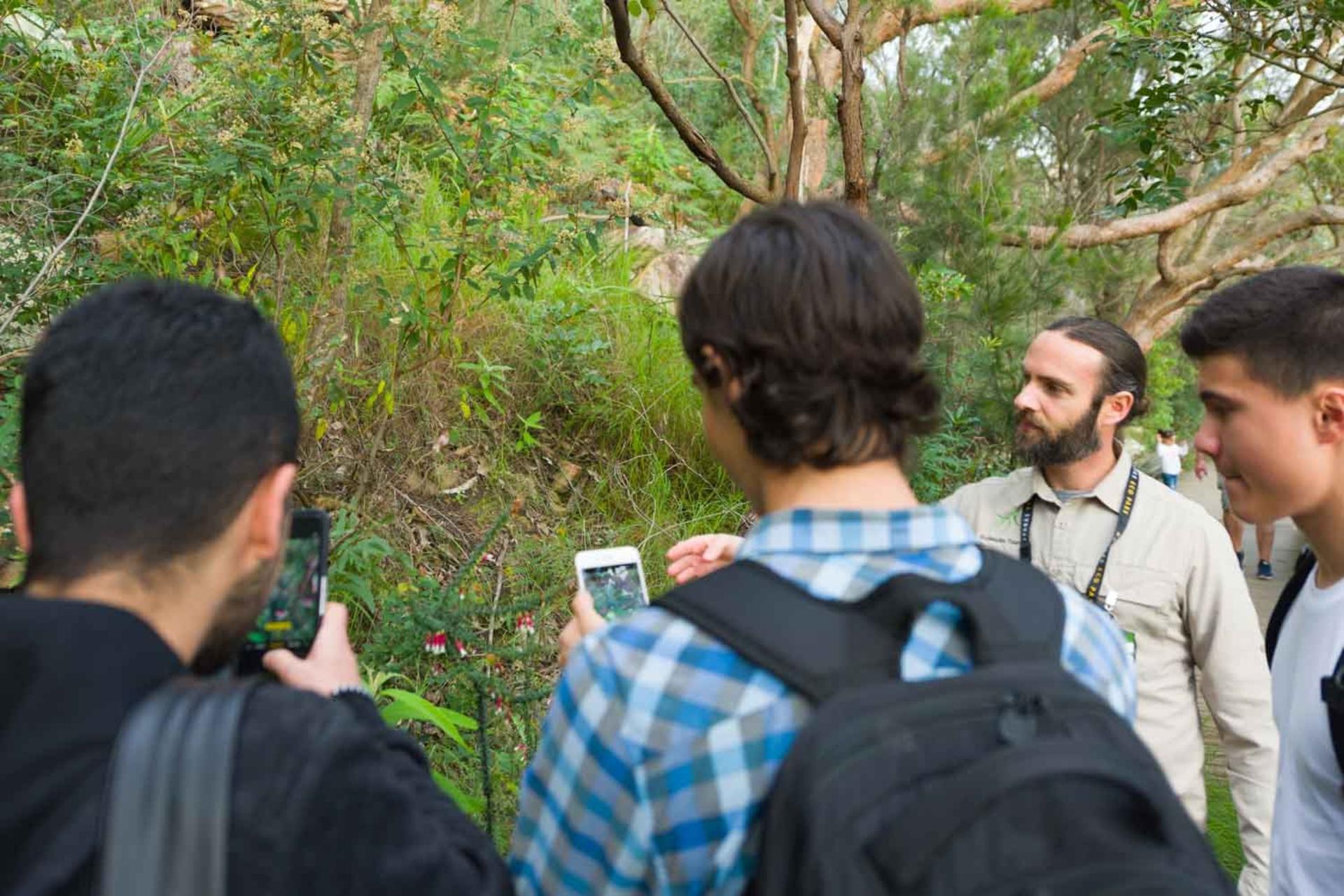 EcoFriendly Bushland and Beaches Walking Tour - Image 1
