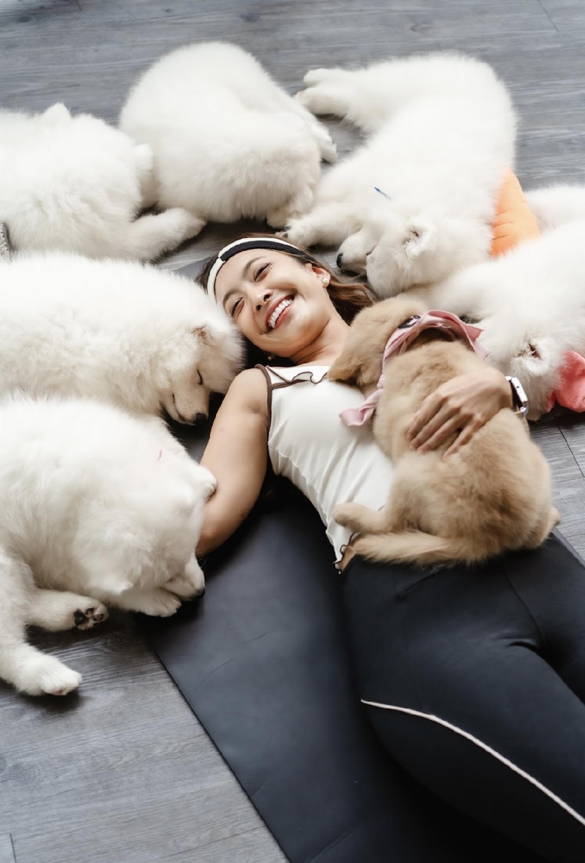 Puppy & Kitten Yoga Therapy with Photo Experience in Bangkok - Thumbnail 18