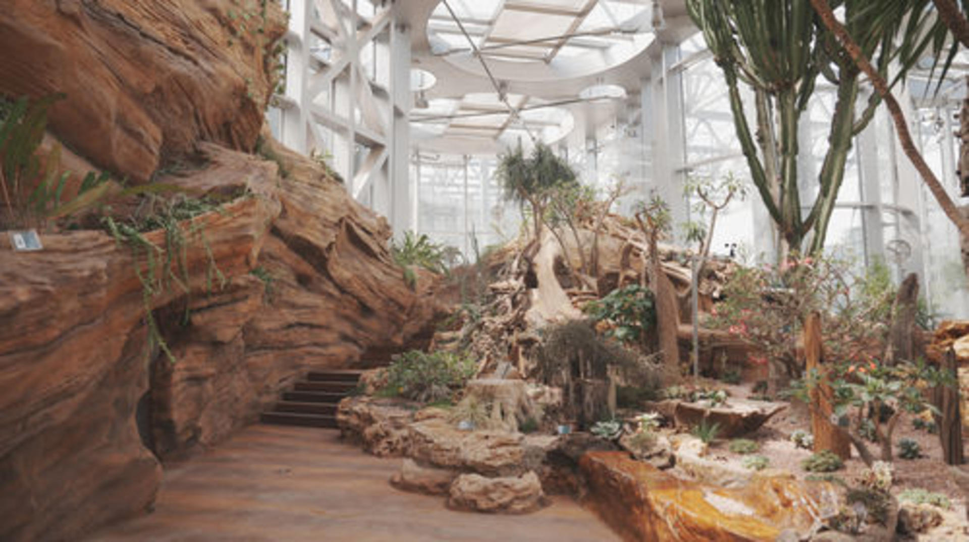Shanghai Greenhouse Garden - Thumbnail 7