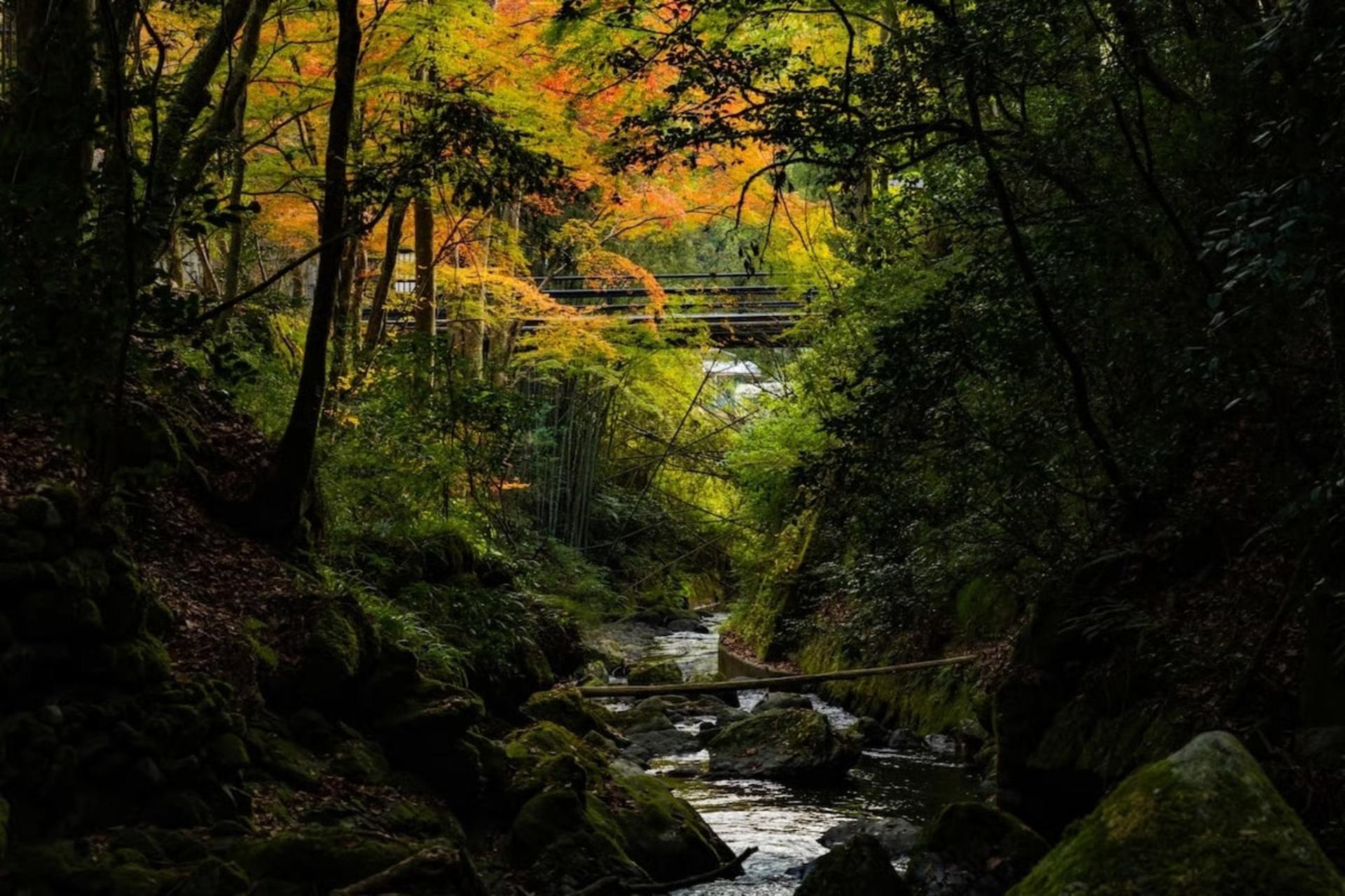 [Kyoto, Kurama] KURAMA Onsen Admission Ticket - Thumbnail 8