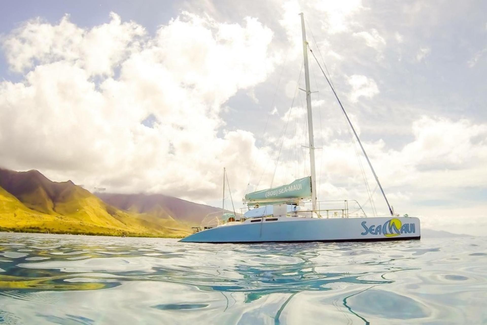 West Maui Snorkeling Experience in Hawaii - Thumbnail 4