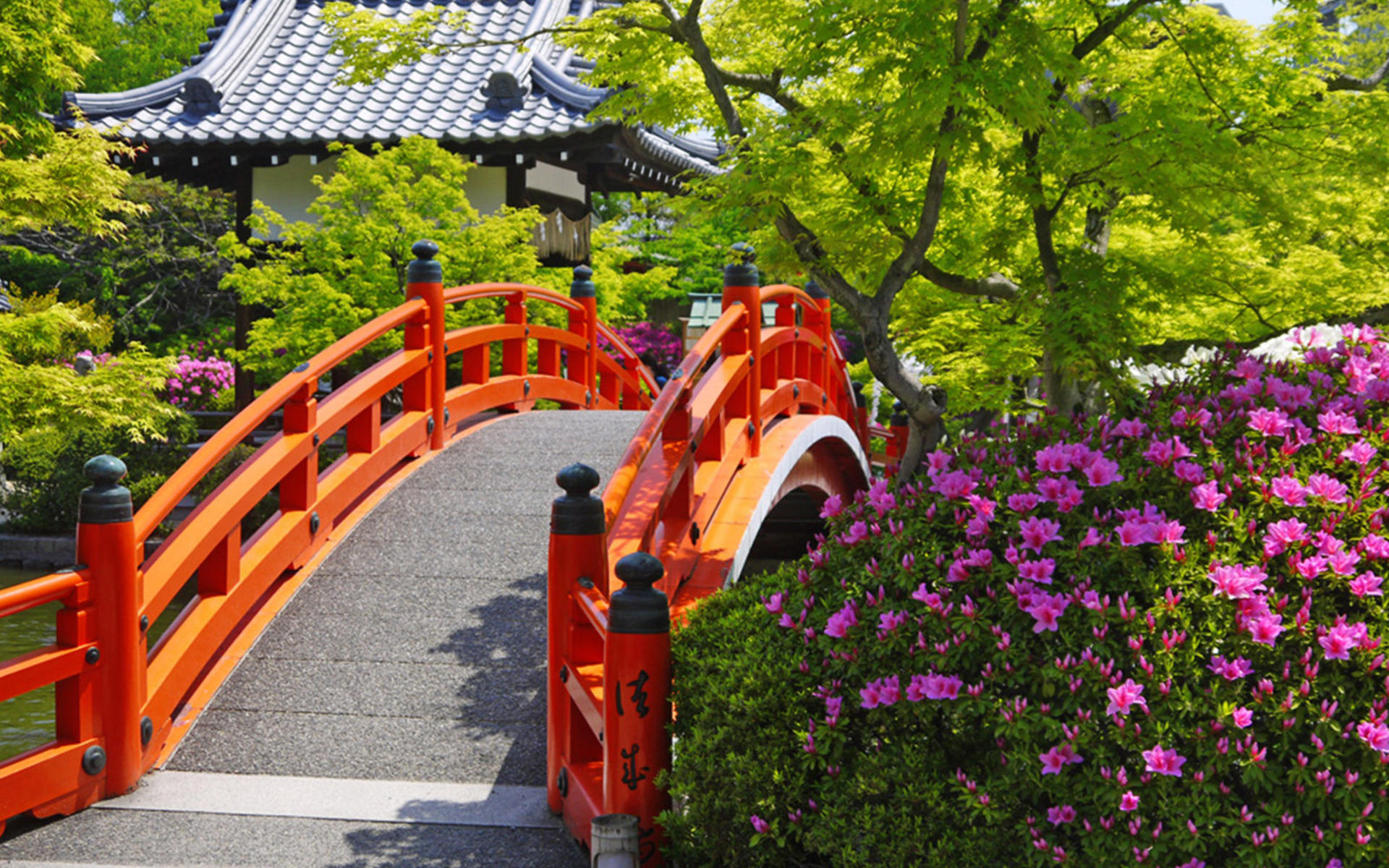 Kyoto: Nijo Castle Admission / World Heritage Guided Tour - Thumbnail 13
