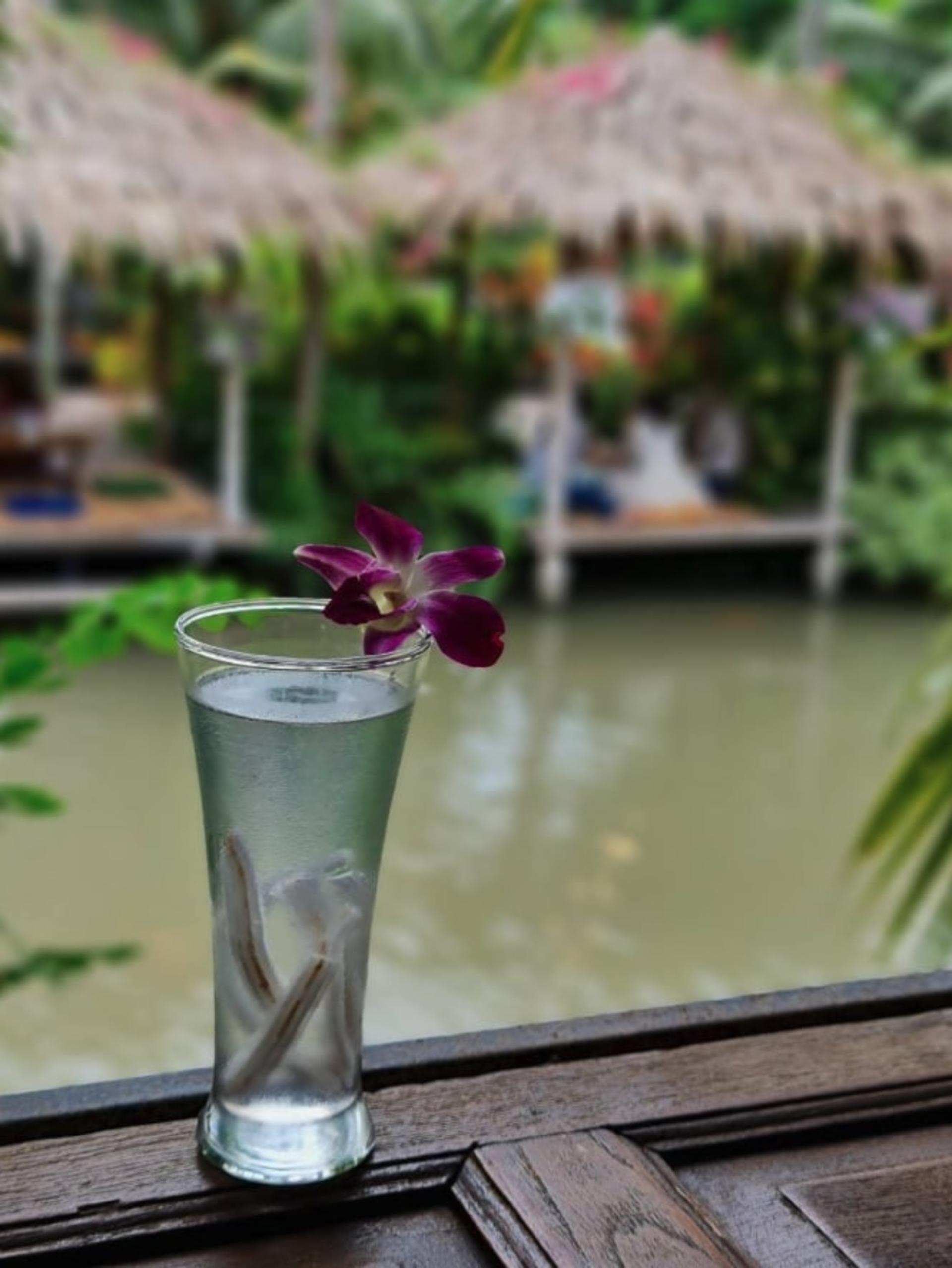 (Free eSIM) Bangkok Cafe Tour (Bubble in the Forest, After the Rain) - Thumbnail 8