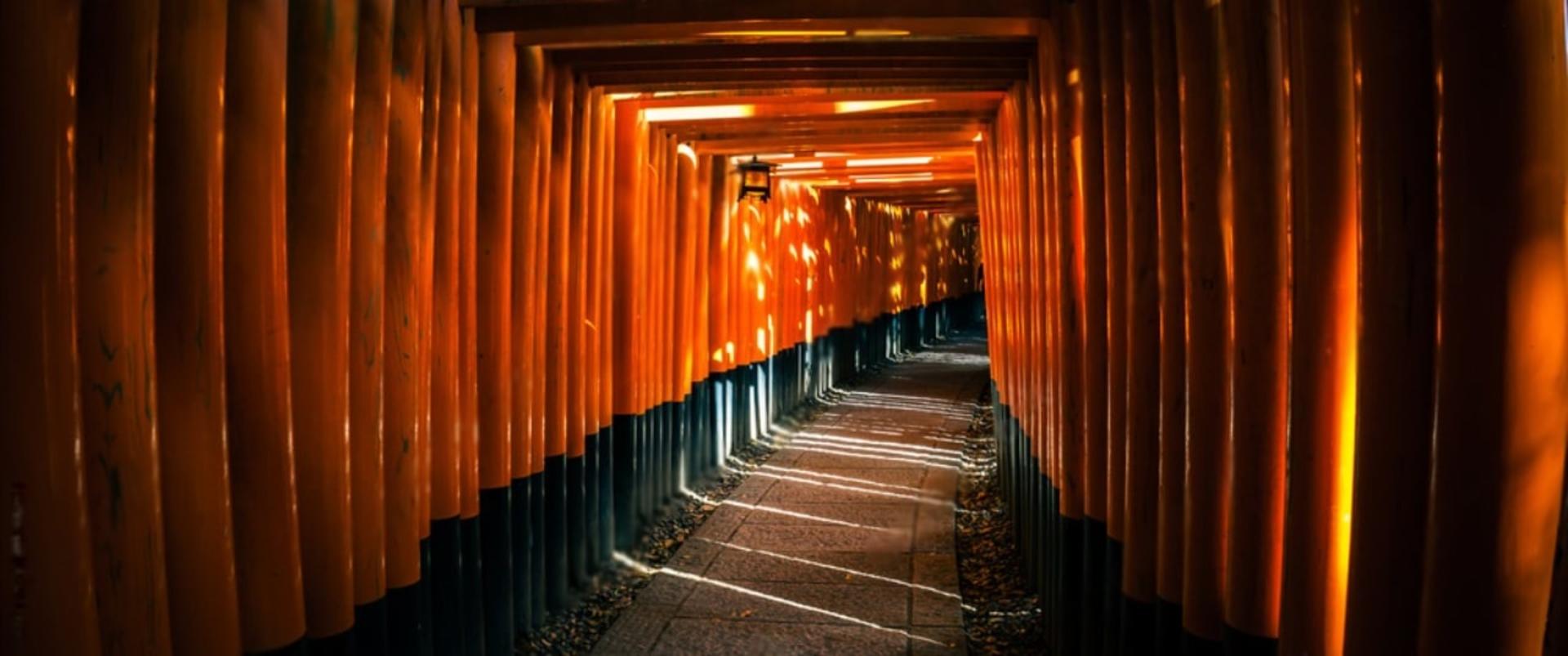 Kyoto Highlights Private Day Trip (Departure from Osaka/Kyoto) - Thumbnail 3