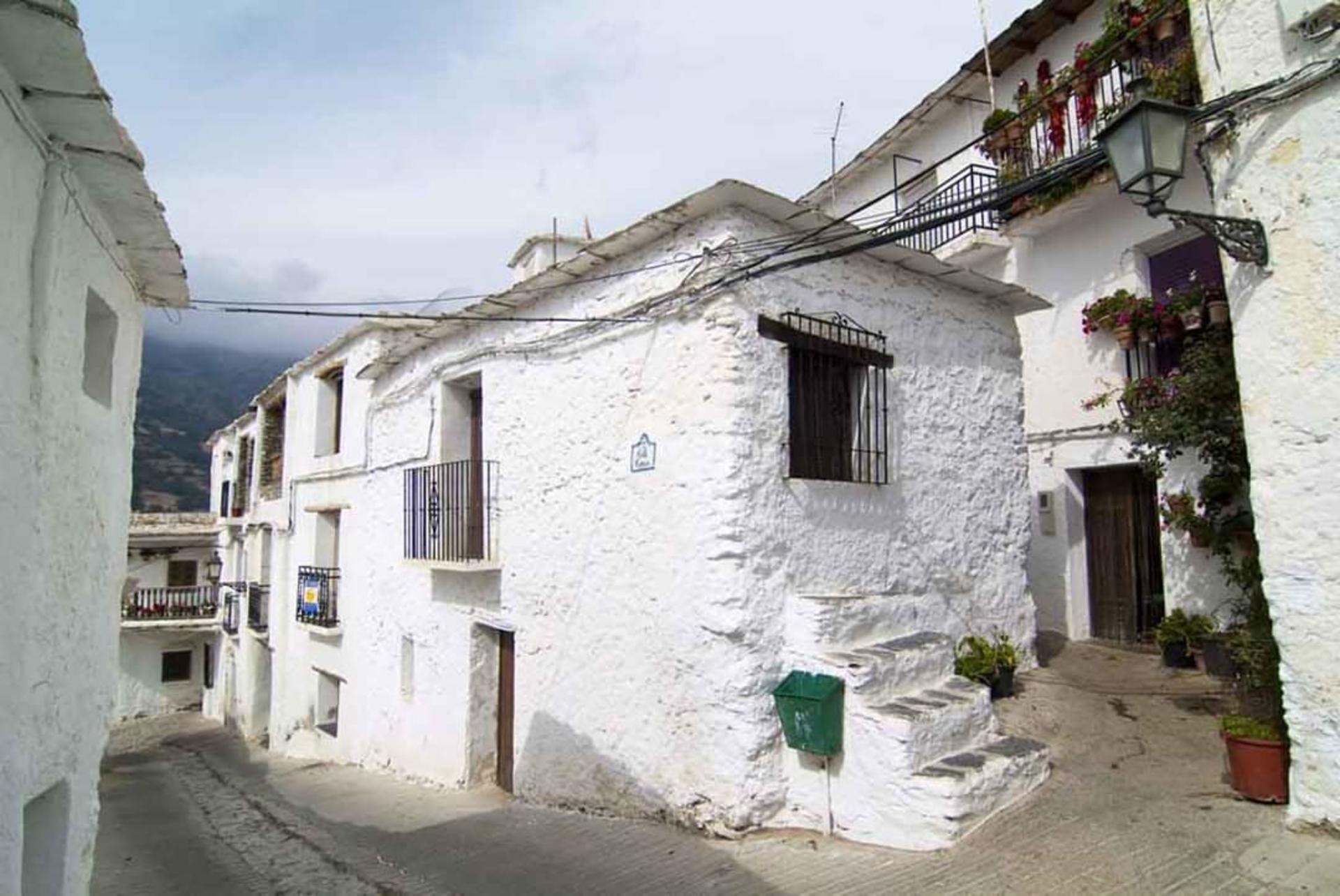 Granada Capileira & Pampaneira Half-Day Private Tour - Thumbnail 14