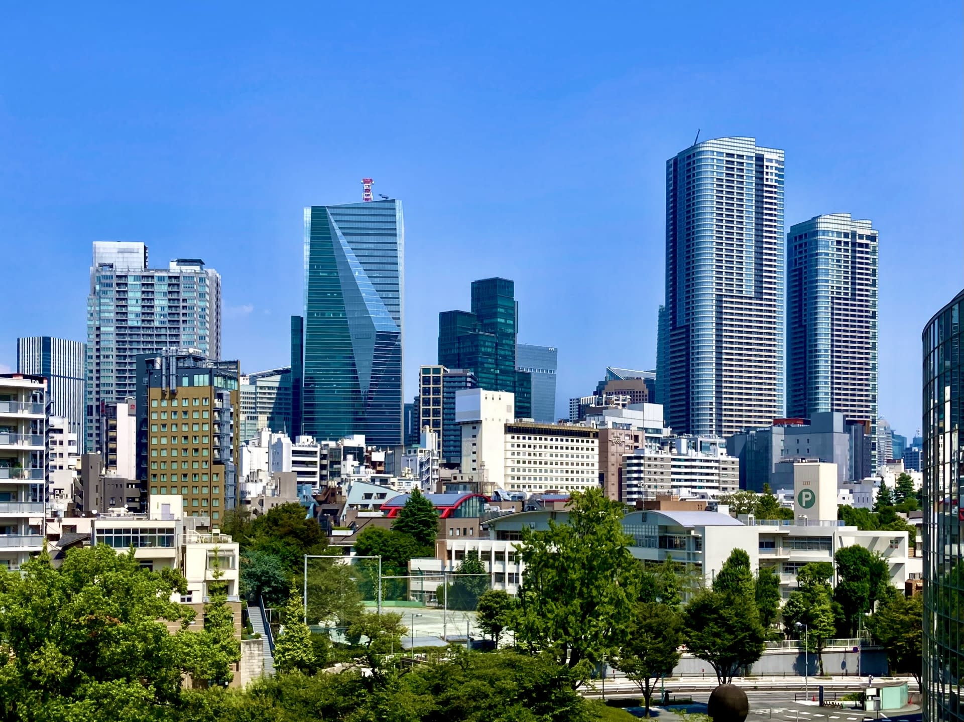 Tokyo Customizable Private One Day Walking Tour (Hotel Pickup) - Image 1