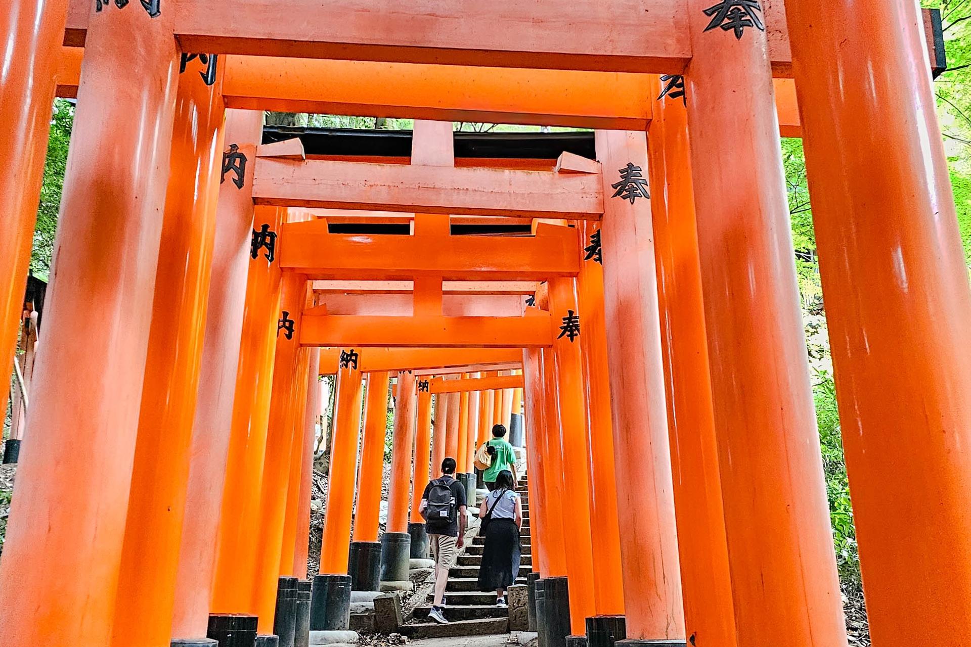 Kyoto Fushimi Inari Taisha Small Group Guided Walking Tour - Thumbnail 6