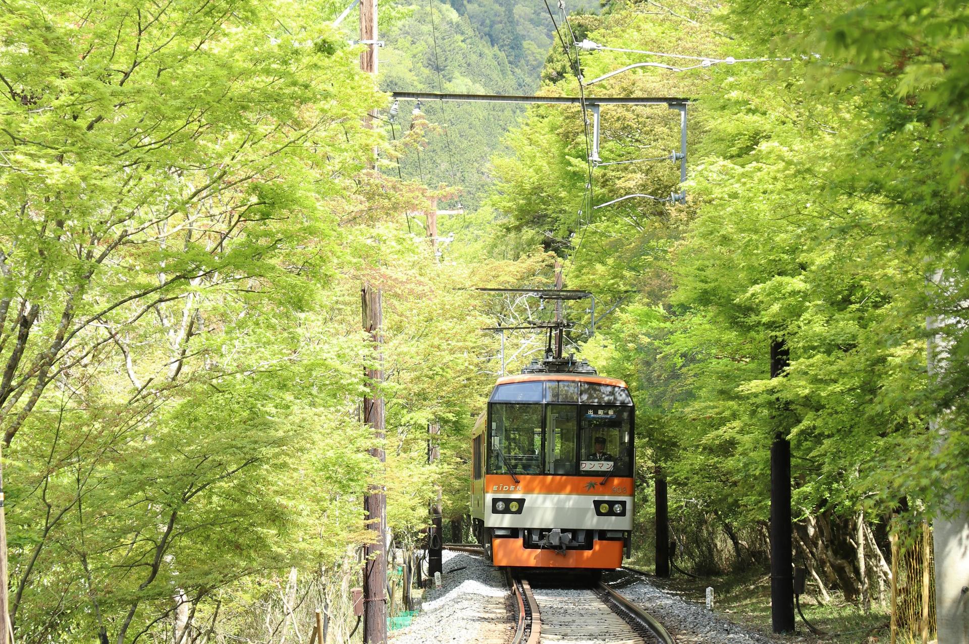 Full Day Kyoto Kibune Tour: Kifune Shrine & Riverside Dining - Thumbnail 9