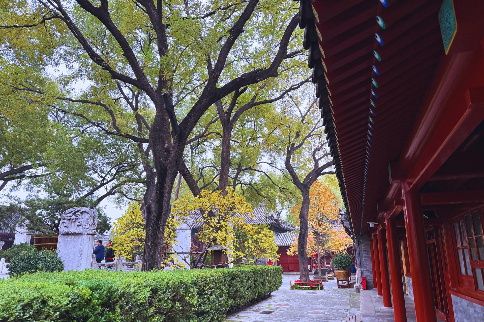 Beijing Hutong Museum Cluster Tour—Culture, Temples & Life - Thumbnail 4