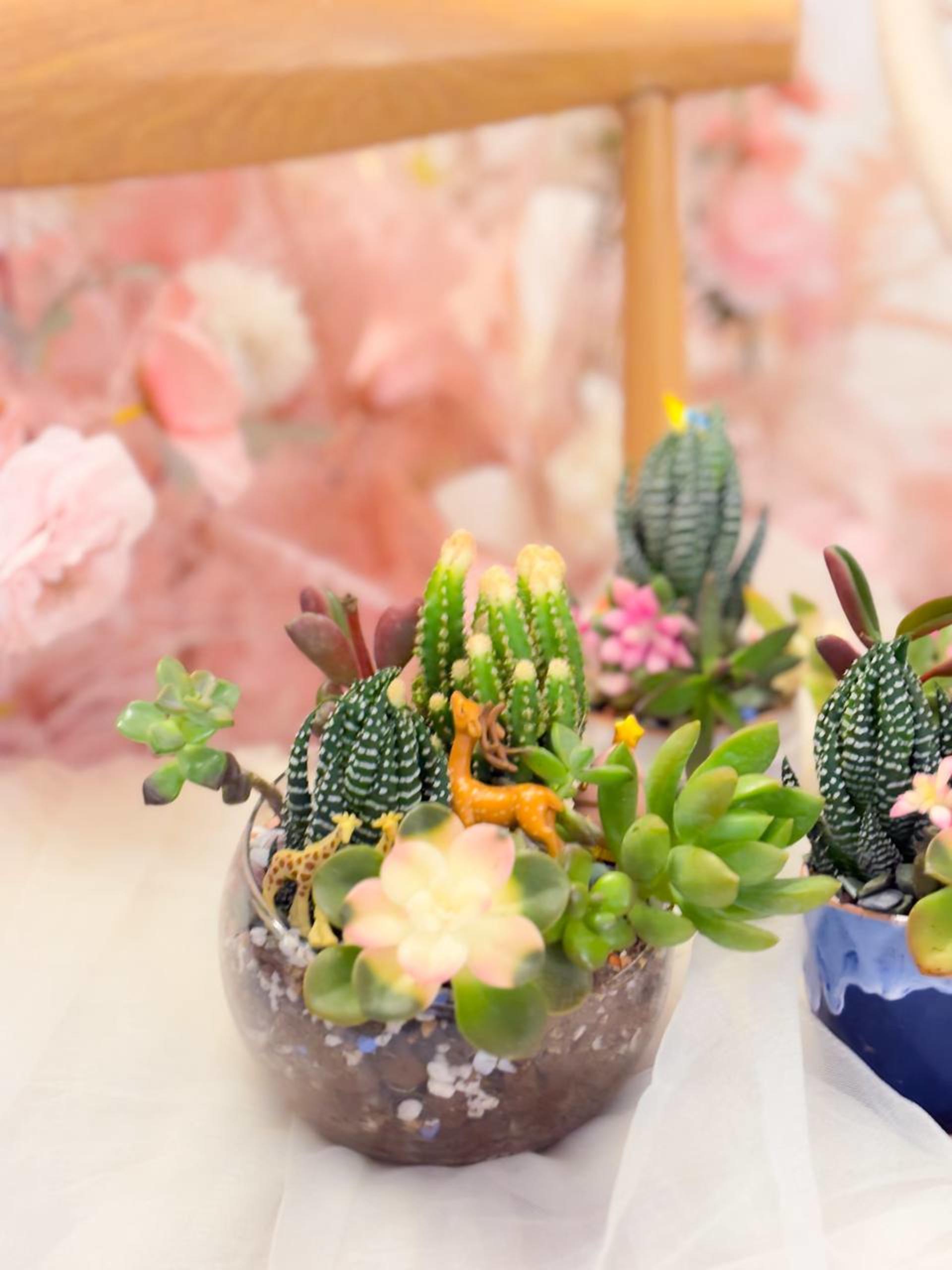 Myosotis Flower - Succulent Terrarium Workshop - Thumbnail 34
