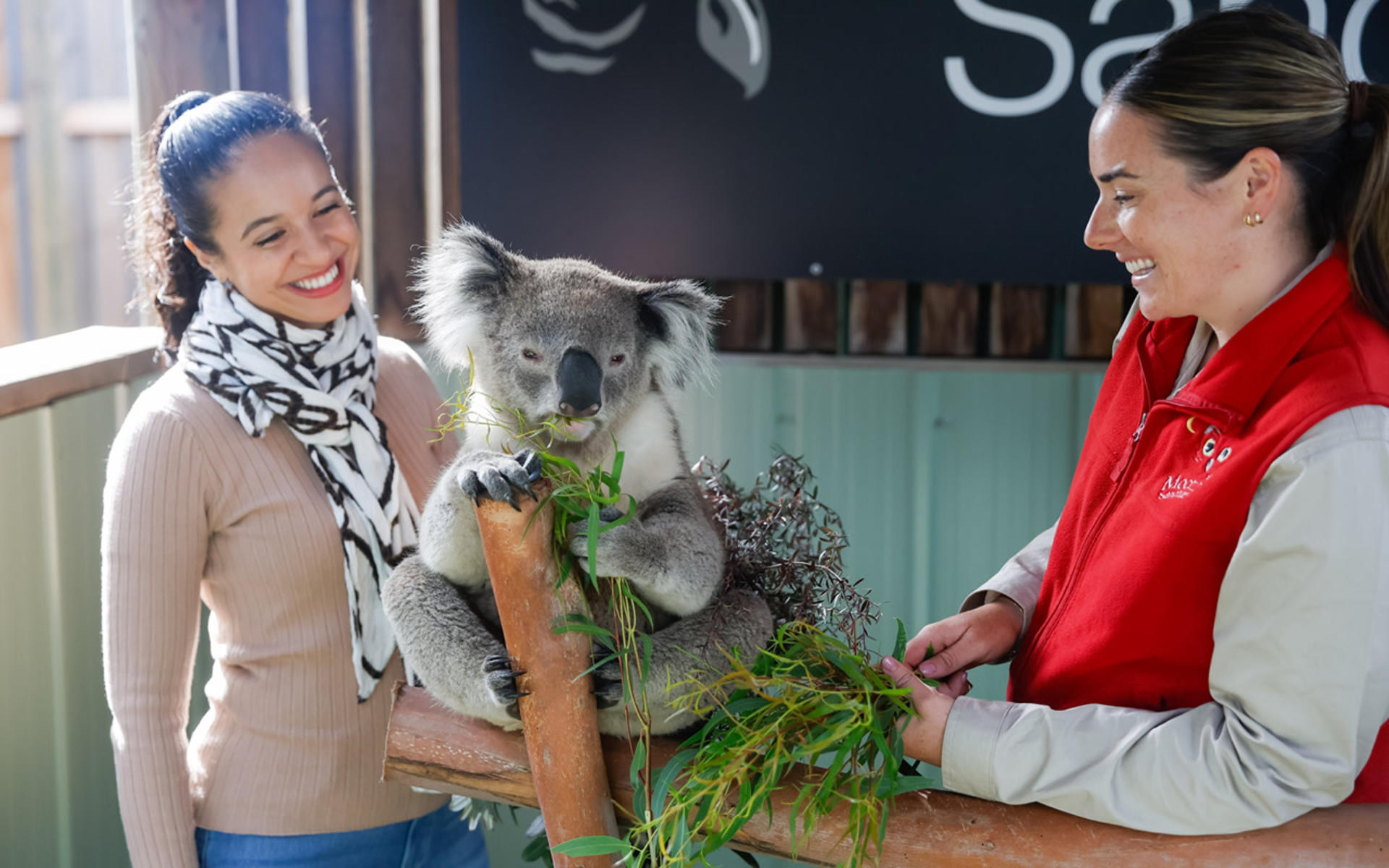 Melbourne City Highlights Private Day Tour - Thumbnail 7