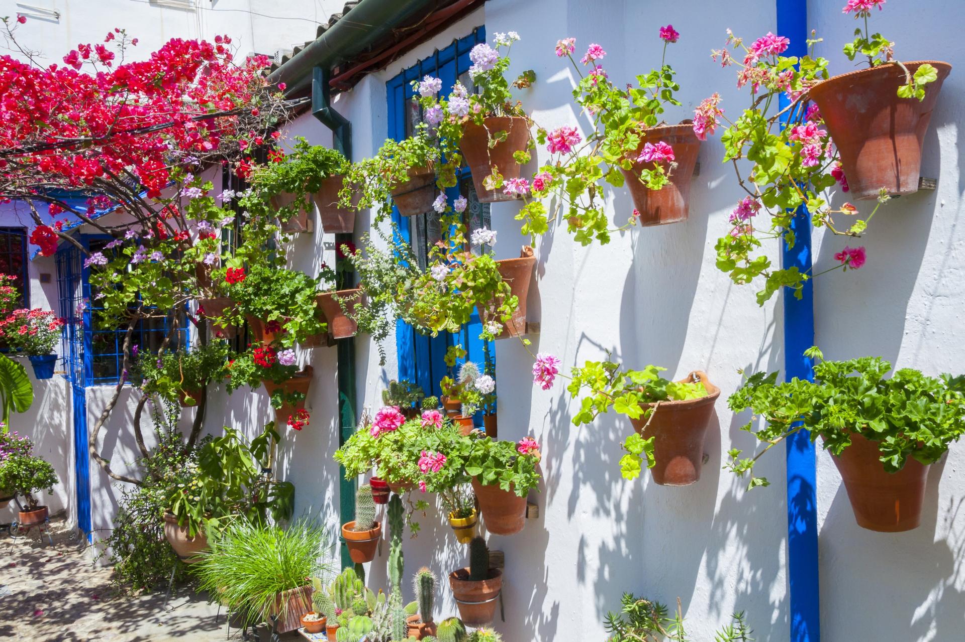 Patios of Cordoba Tour - Thumbnail 3