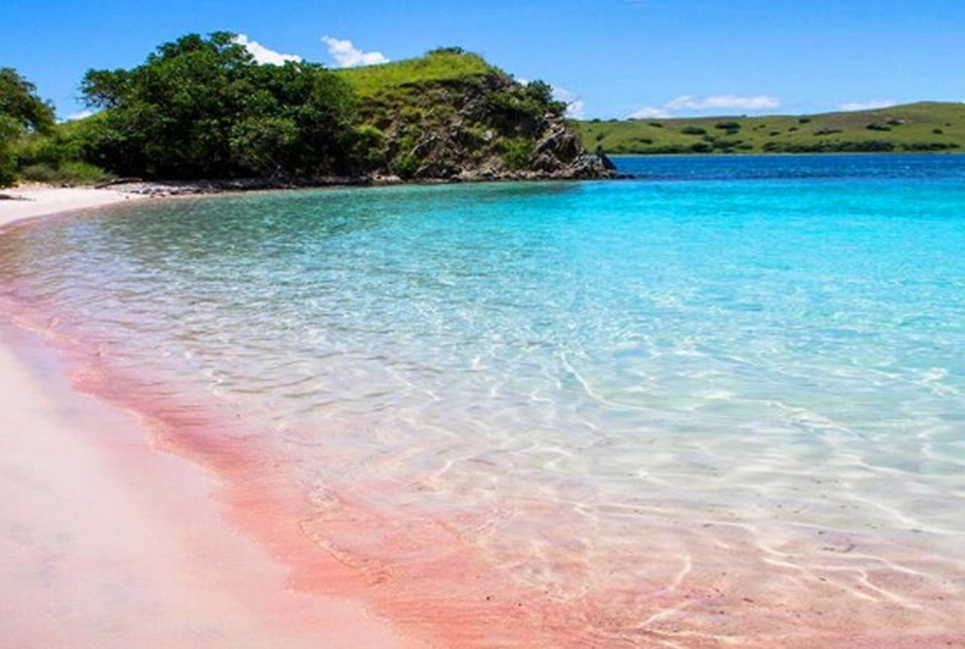 Pulau Pasir, Pink Beach, and Semangko Beach Private Tour in Lombok - Thumbnail 4