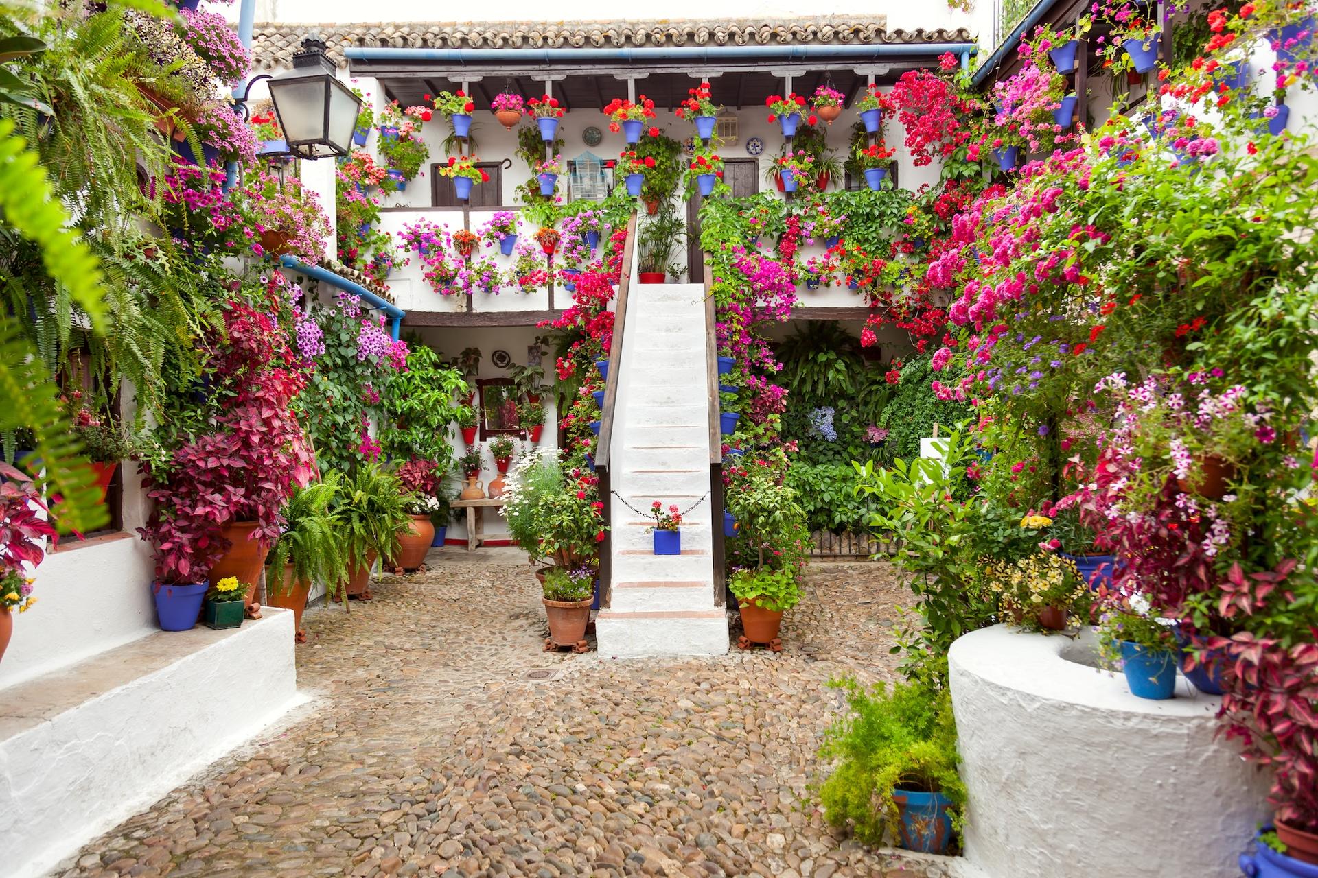 Patios of Cordoba Tour - Thumbnail 5