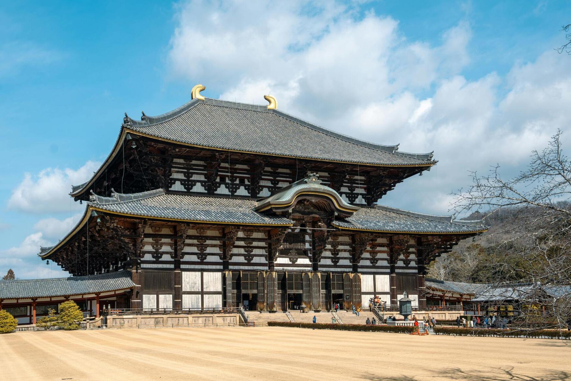 Discover Himeji, Kobe and Nara from Osaka - Thumbnail 19