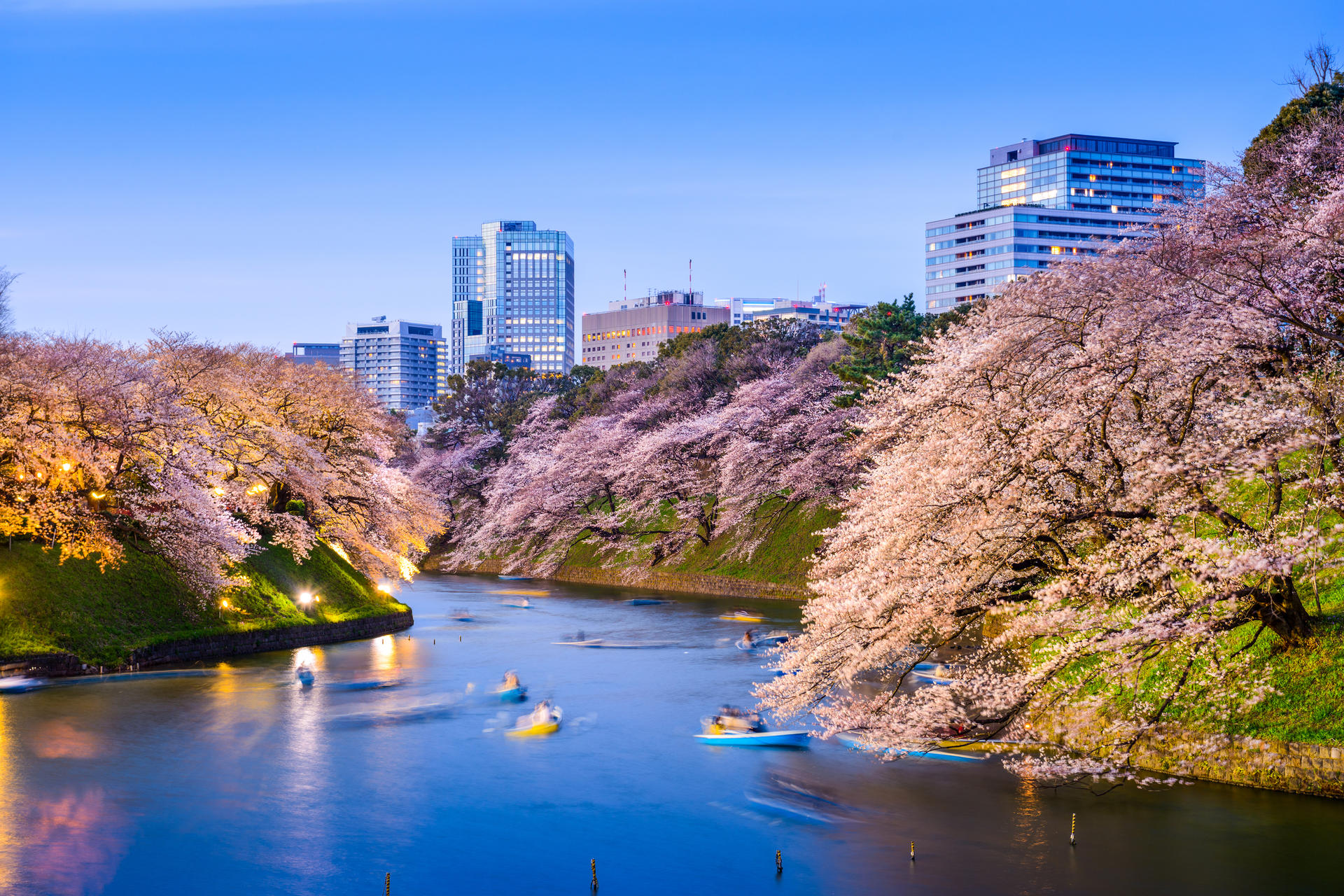 Half-Day Tokyo Afternoon Small Group City Exploration Tour - Thumbnail 6