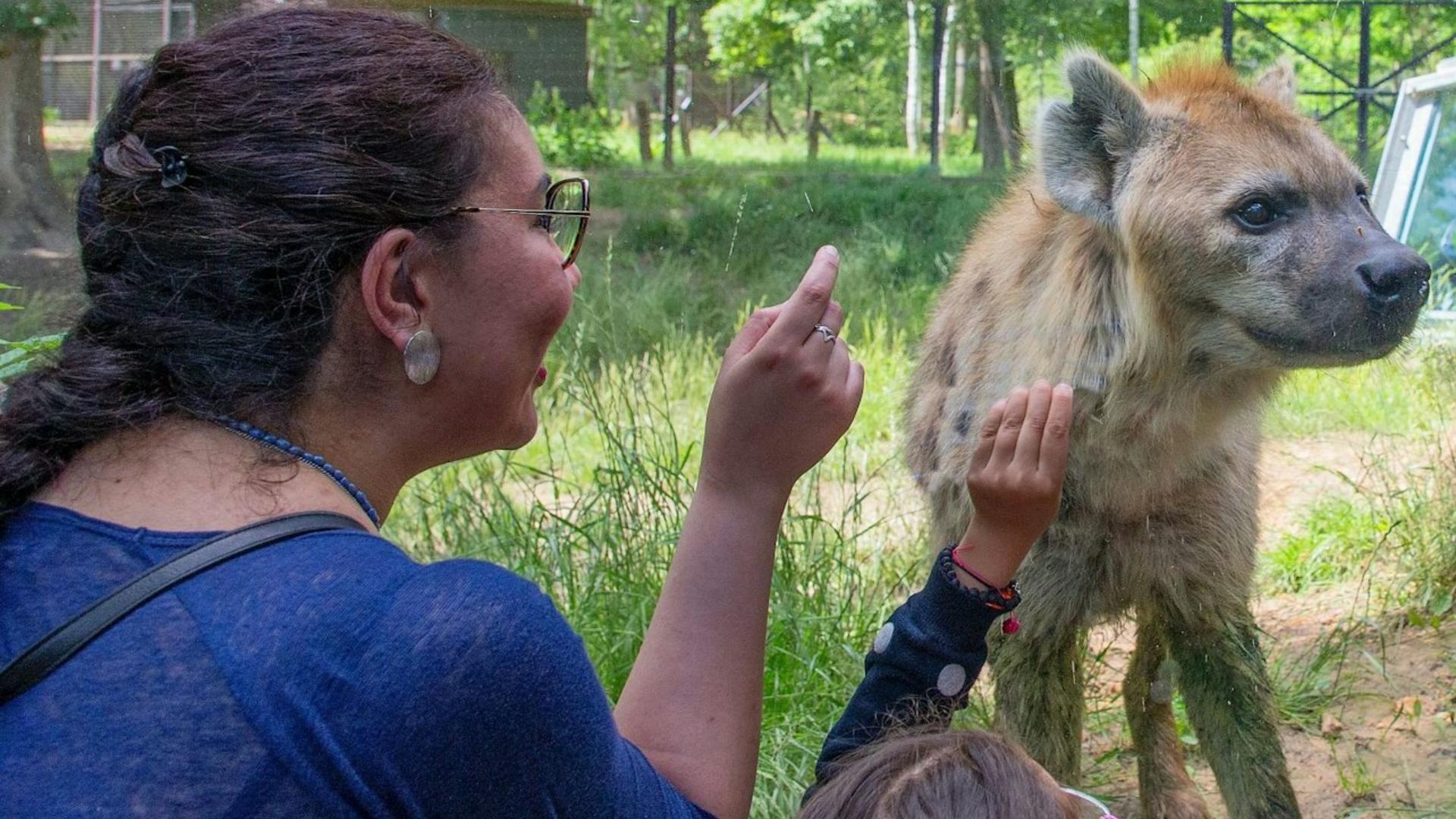 Safari Thoiry ticket in Paris - Image 1