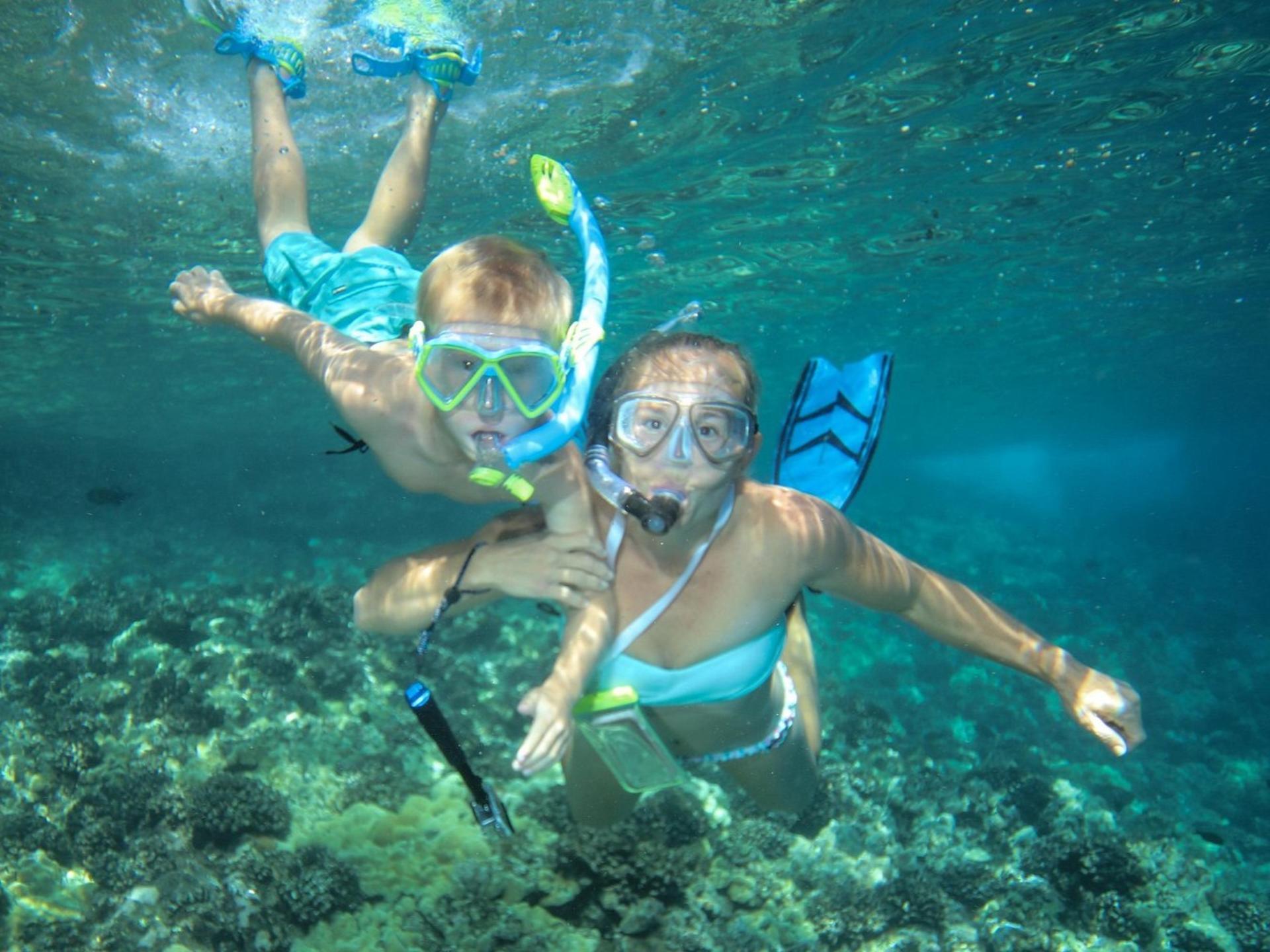 Molokini & Turtle Town Snorkel Adventure Aboard Calypso Catamaran - Thumbnail 5