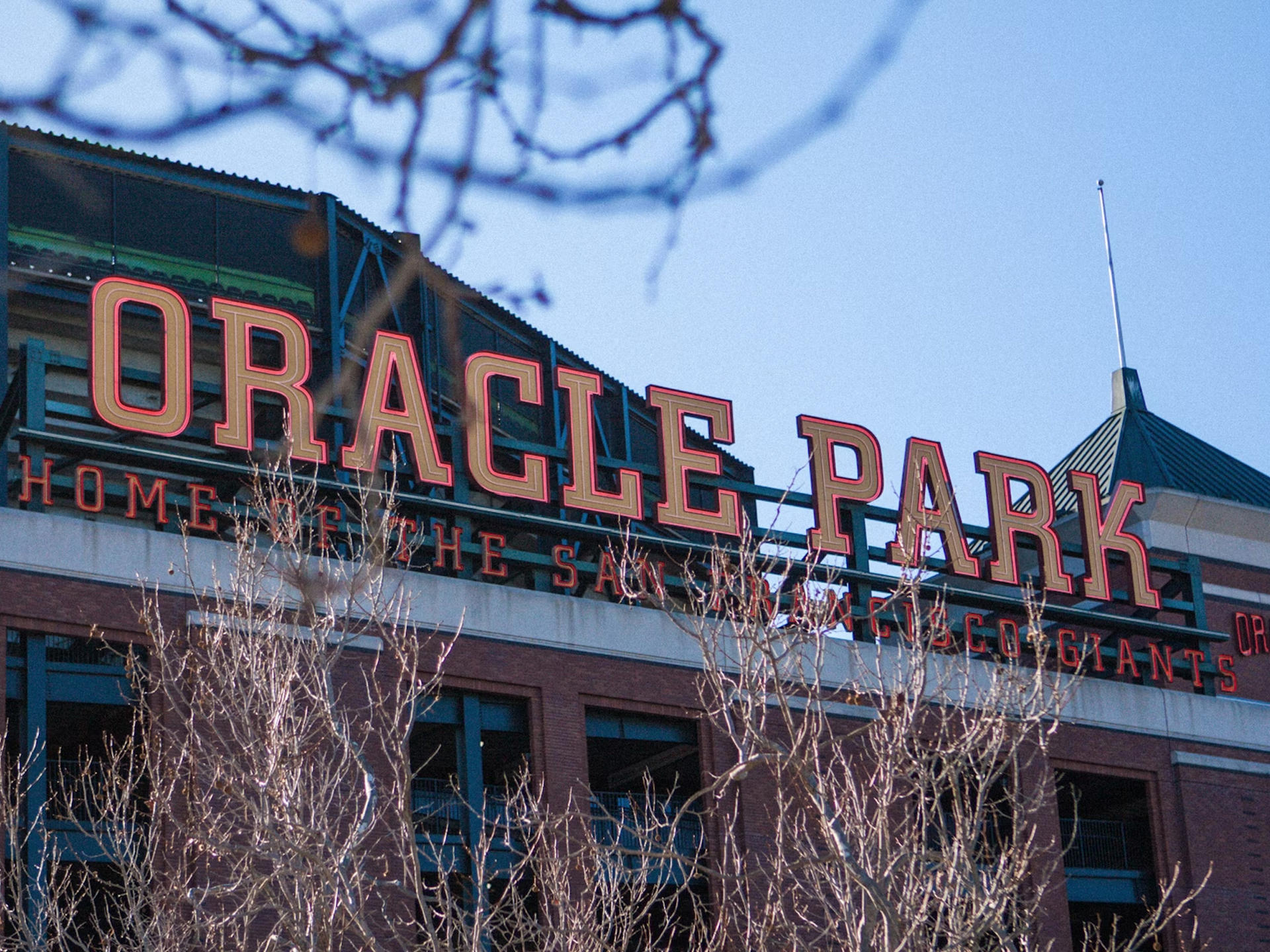 San Francisco Giants Baseball Game at Oracle Park - Thumbnail 7