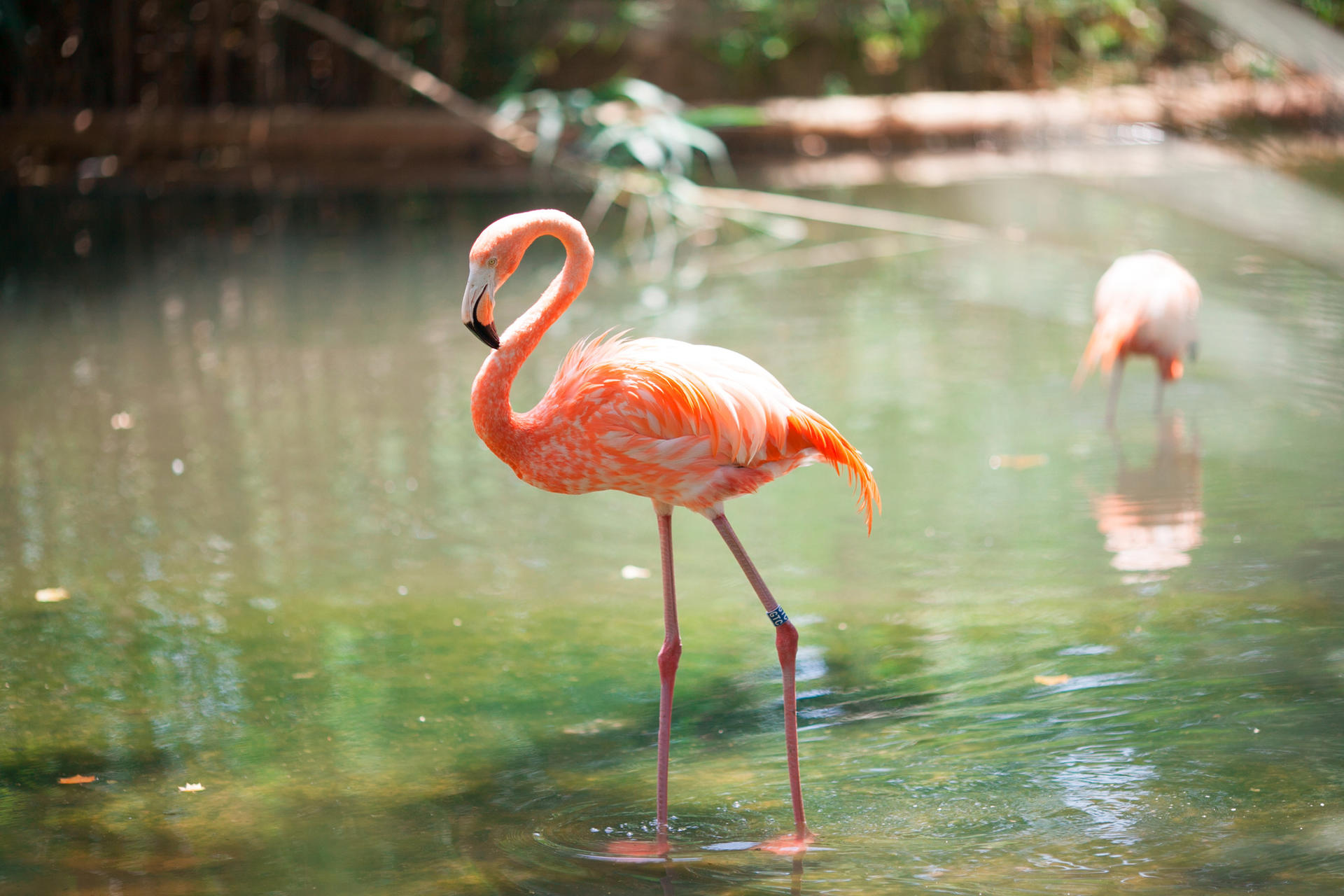 Barcelona Zoo Ticket - Thumbnail 6