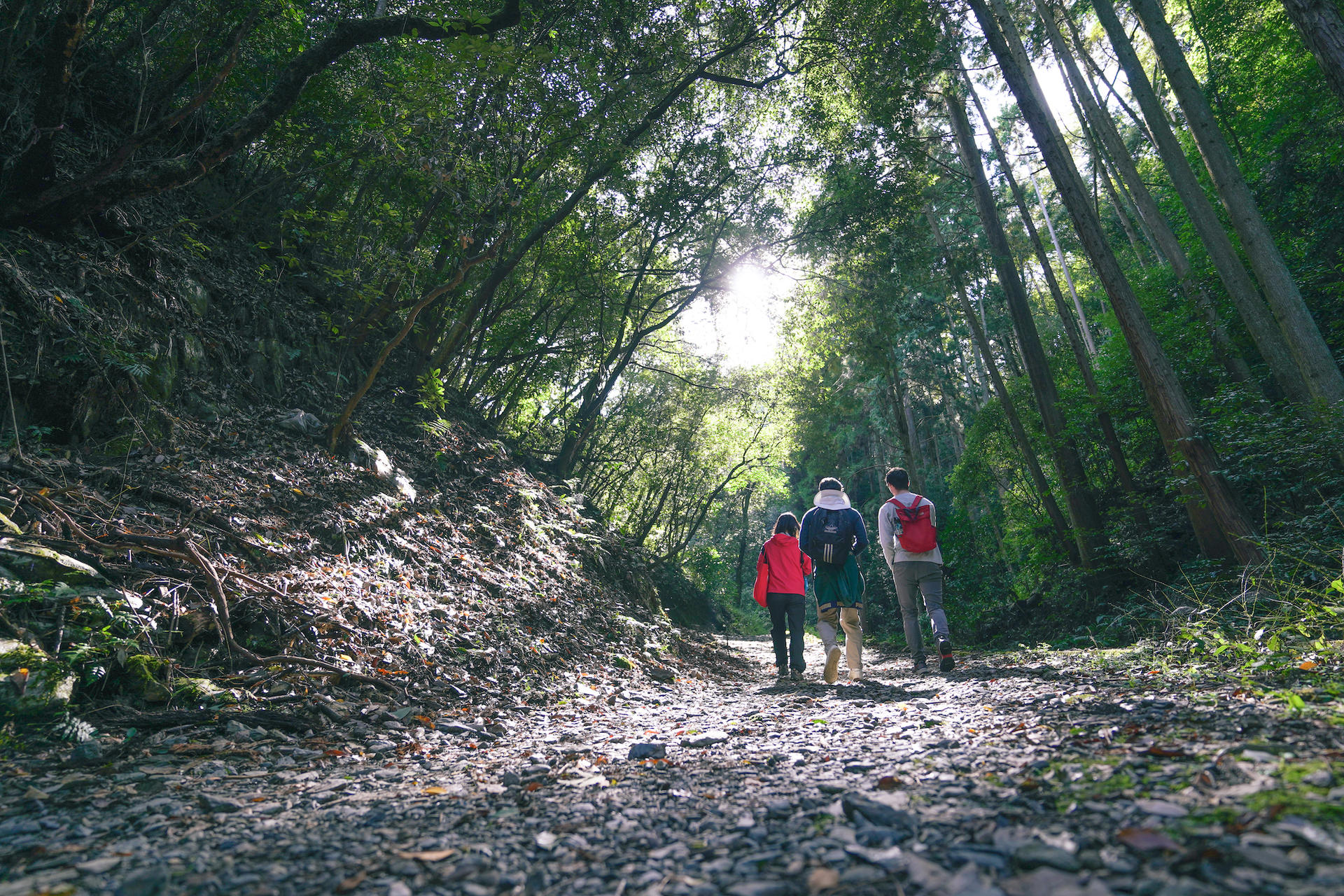 Fushimi Inari Hidden Hiking Tour : Escape the Crowds - Thumbnail 9