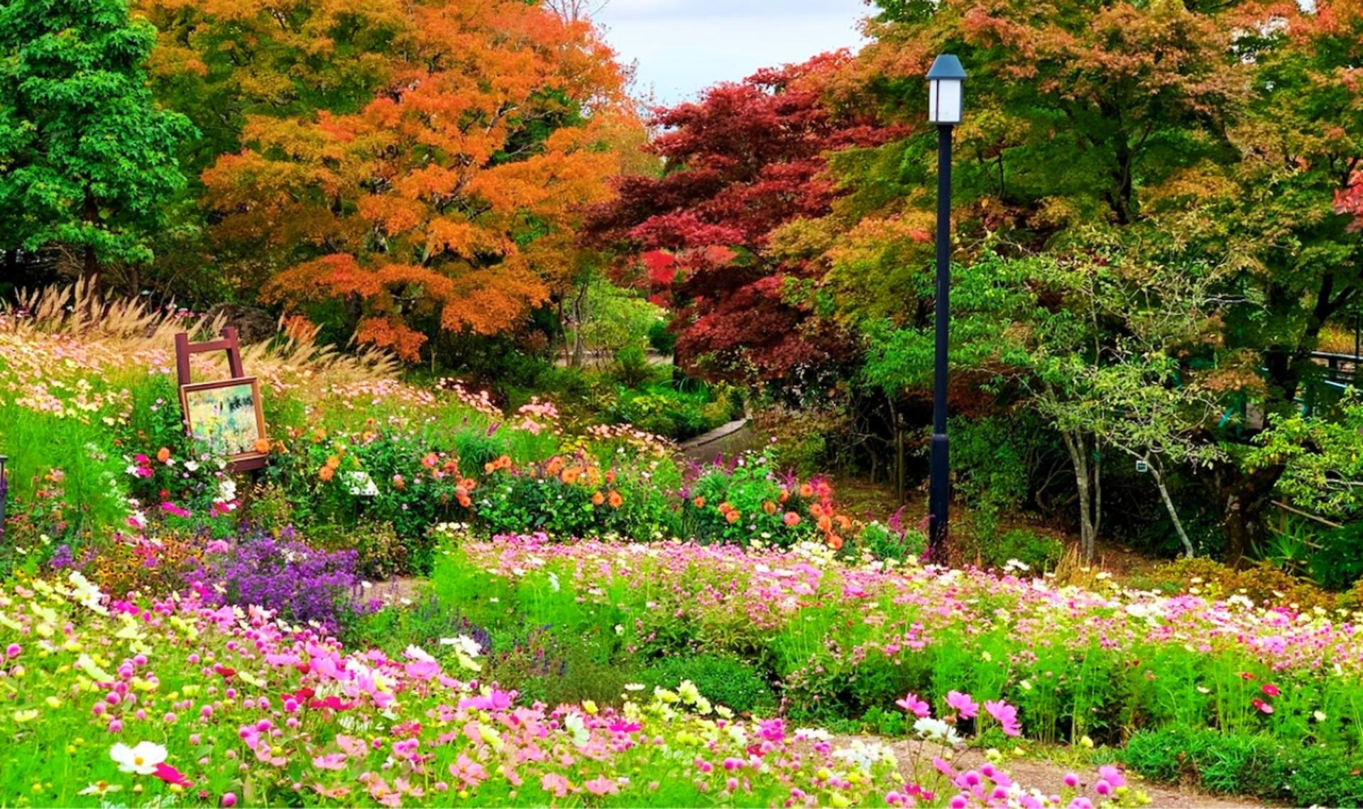 Garden Museum Hiei - Thumbnail 2
