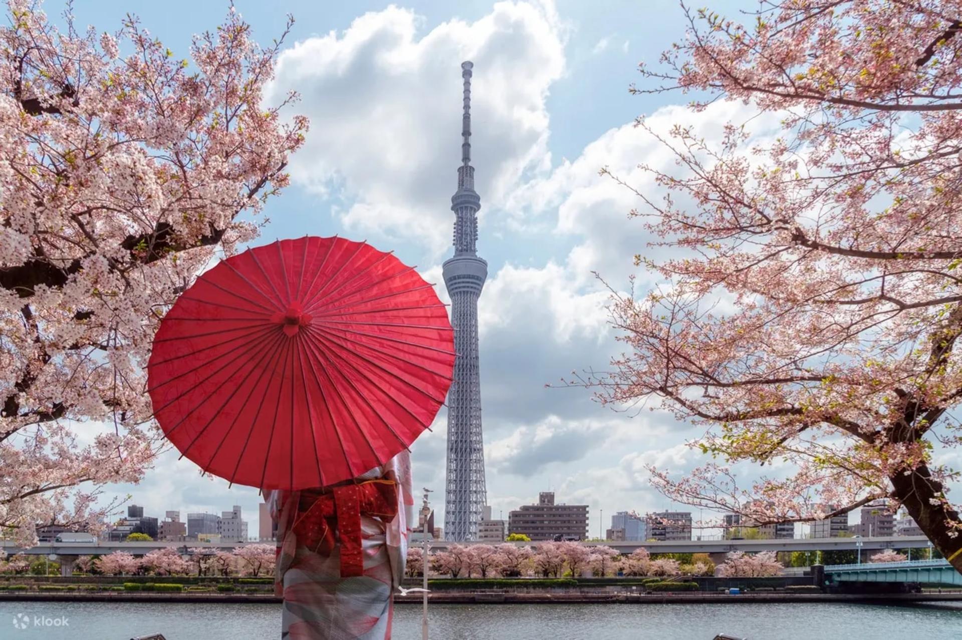 Tokyo: TikTok Hot Spots Tour with Personal Photographer - Thumbnail 13