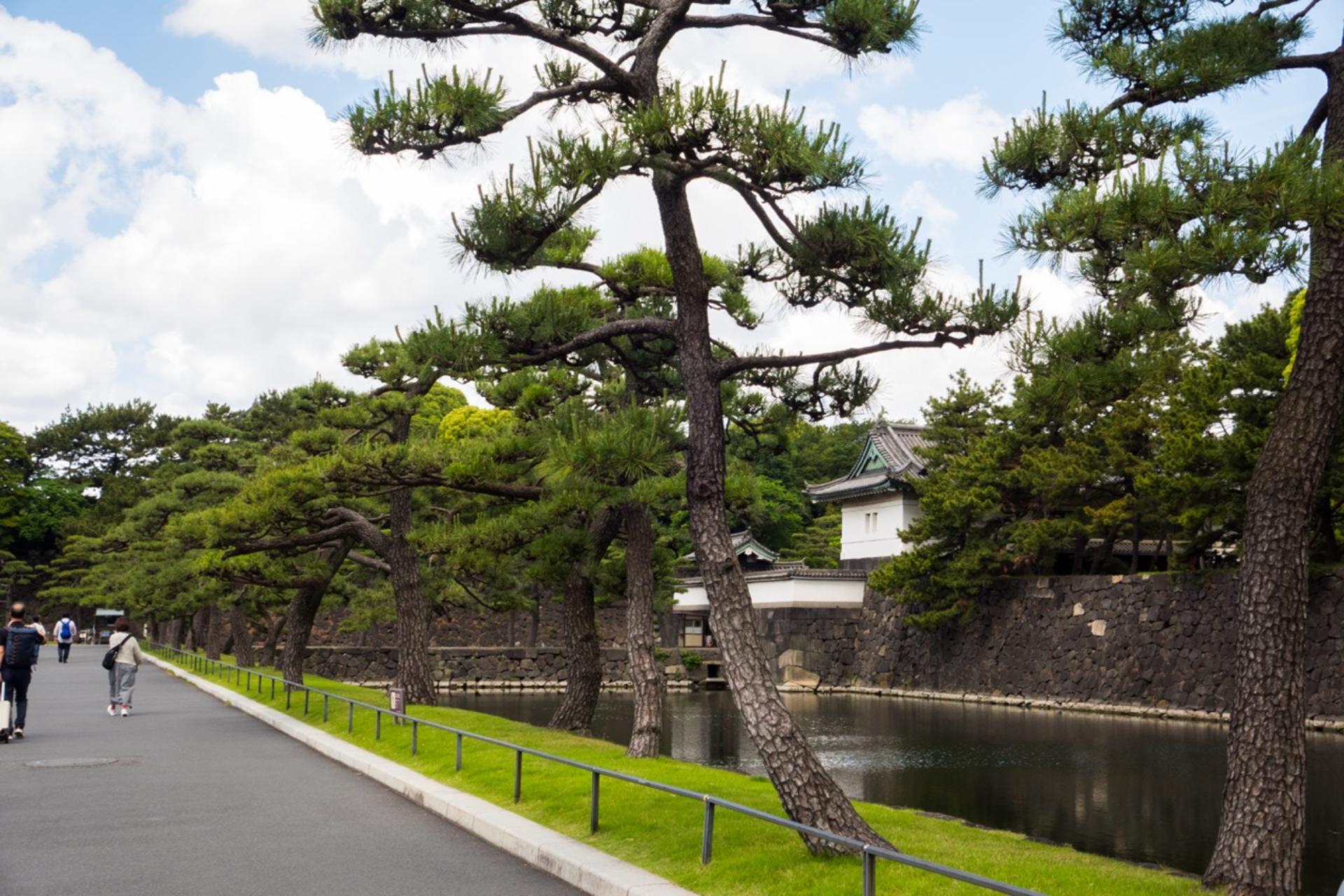 Tokyo: Imperial Palace & Shogun Castle Walking Tour - Thumbnail 39