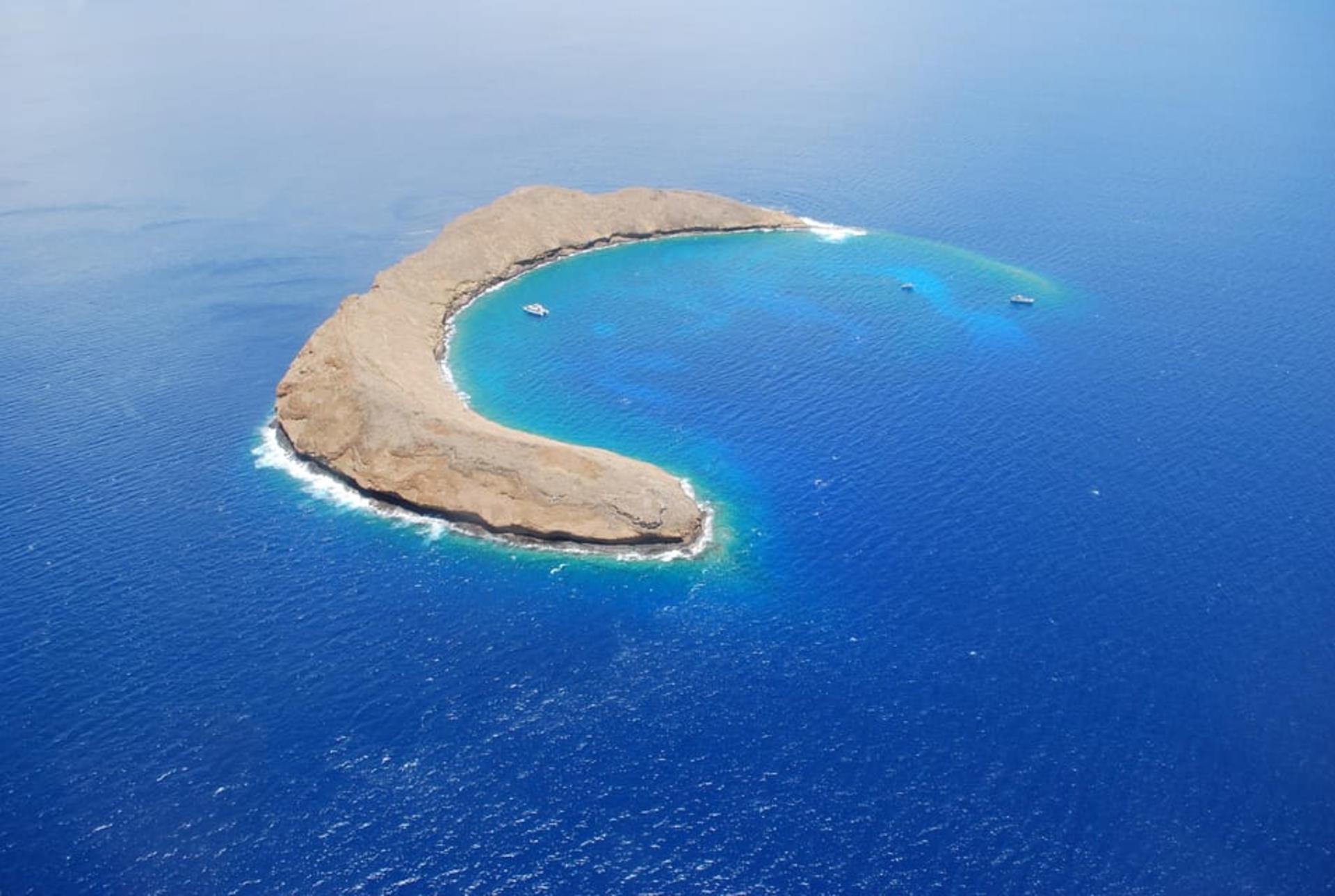 Molokini Crater and Turtle Arches Snorkel Tour in Maui - Thumbnail 4