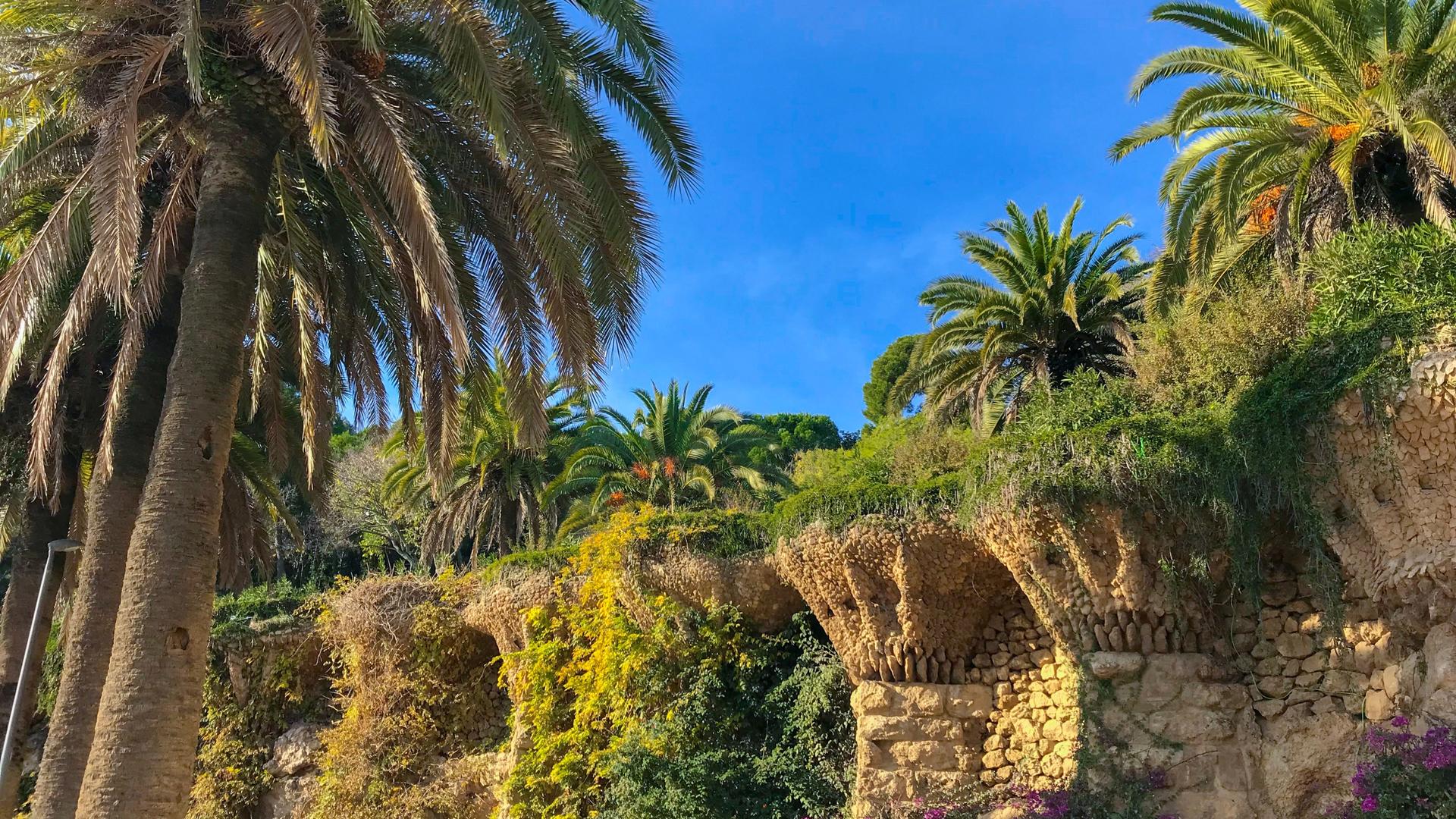 Barcelona: Park Güell Expert Guided Tour - Thumbnail 4