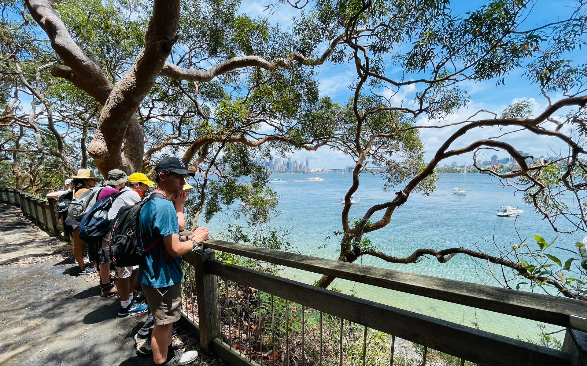 EcoFriendly Bushland and Beaches Walking Tour - Thumbnail 3