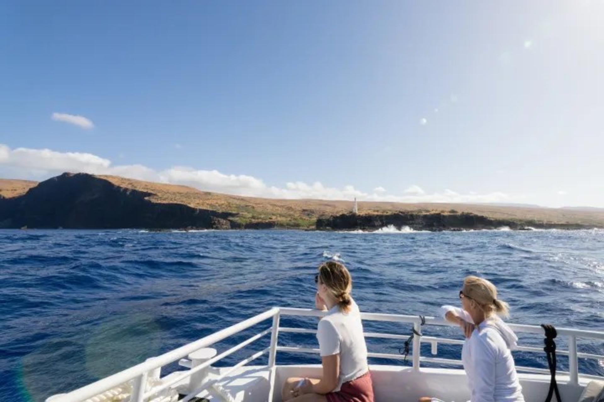 Whale Watching Cruise Experience in Maui by Quicksilver - Thumbnail 3