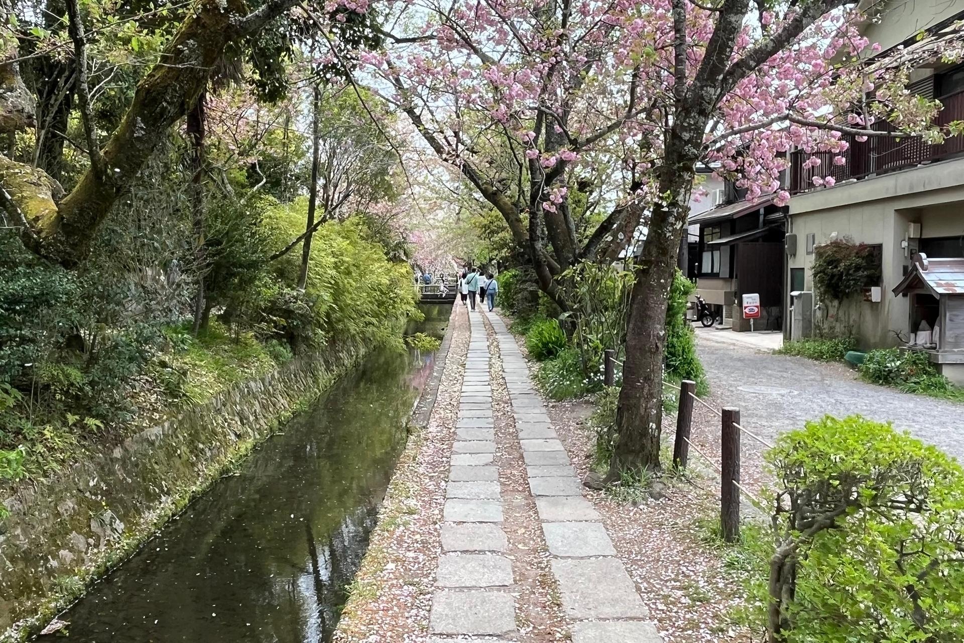 Half-Day Private Guided Tour to the Silver Pavilion in Kyoto - Thumbnail 4