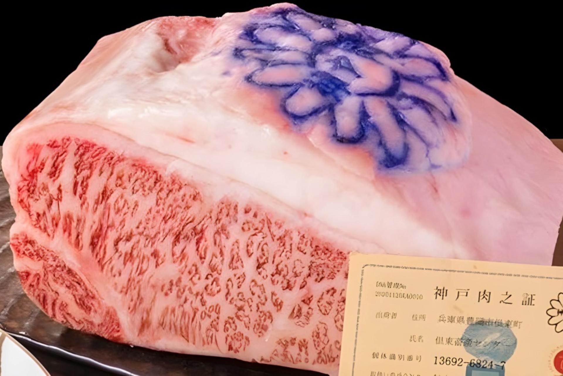 Namba Teppanyaki Namba Teppanyaki Sublime Osaka - Thumbnail 5