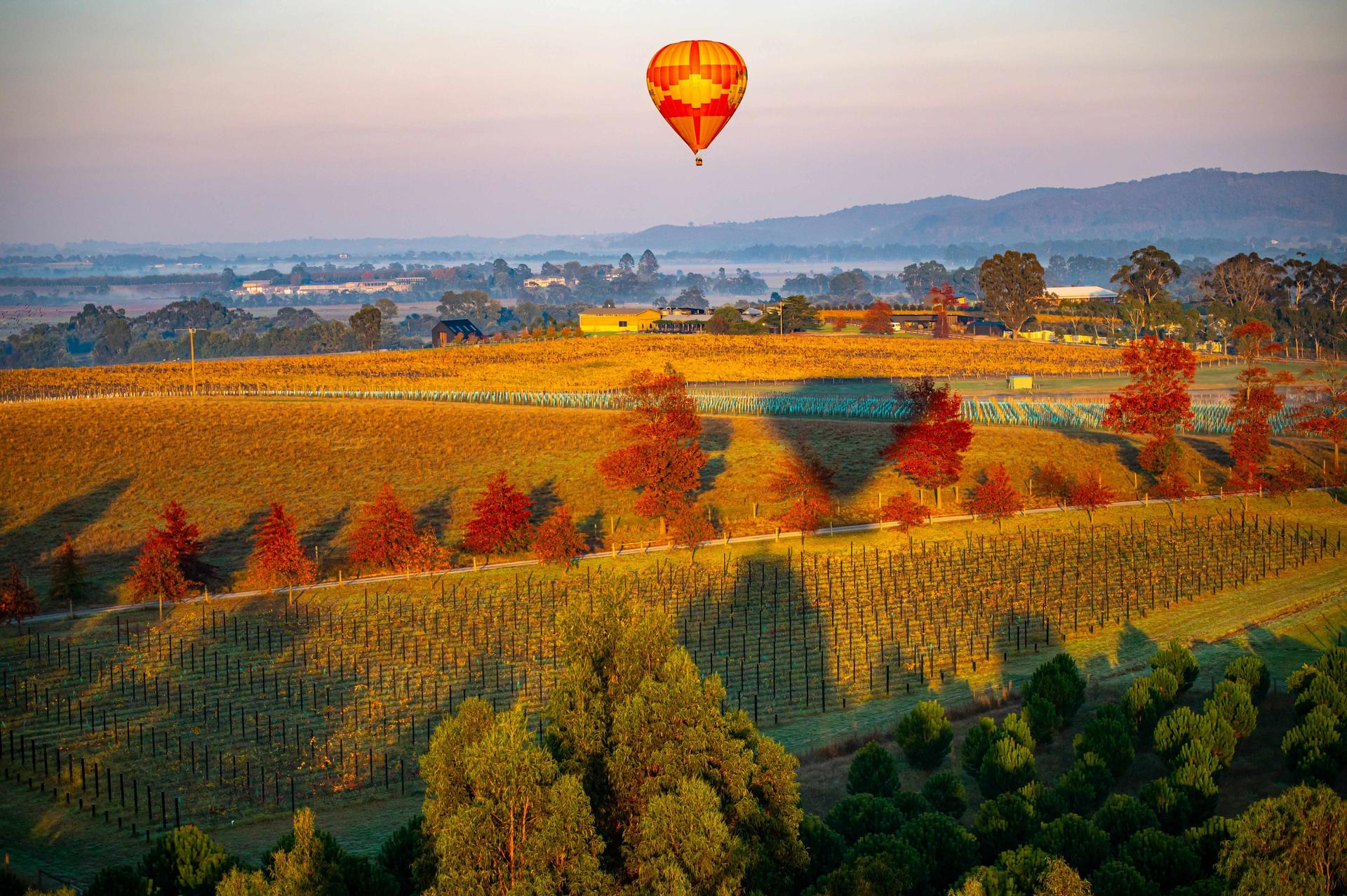Hot Air Ballooning Experience in Yarra Valley - Thumbnail 3