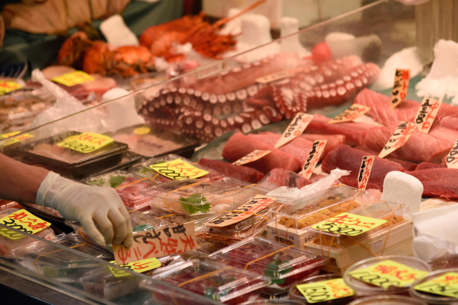 Tsukiji Fish Market Tour : Behind the Scenes & 10 Seafood Tastings  - Thumbnail 22