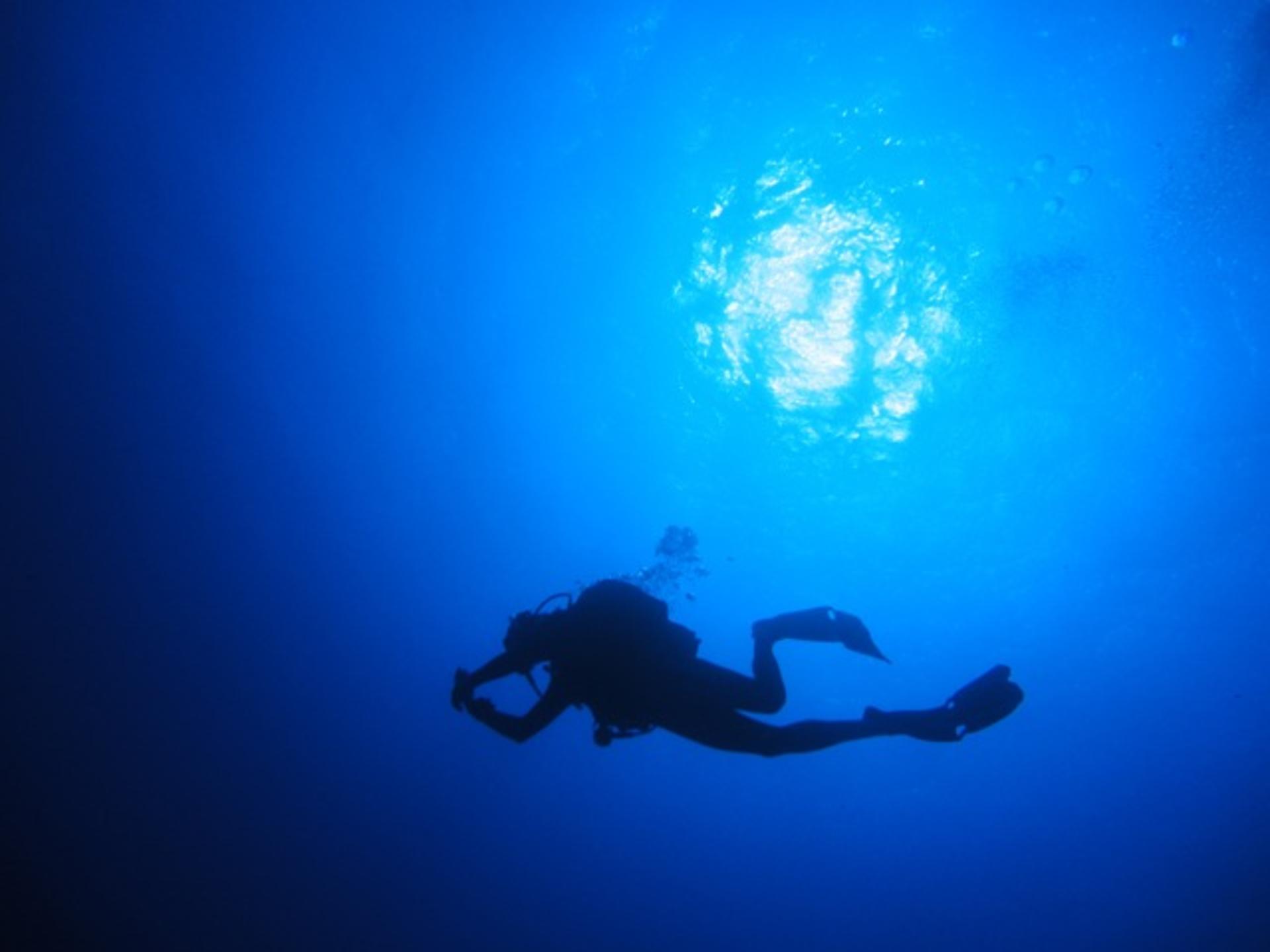 PADI Open Water Diver in Mykonos with PADI 5 Star Dive Resort - Image 1