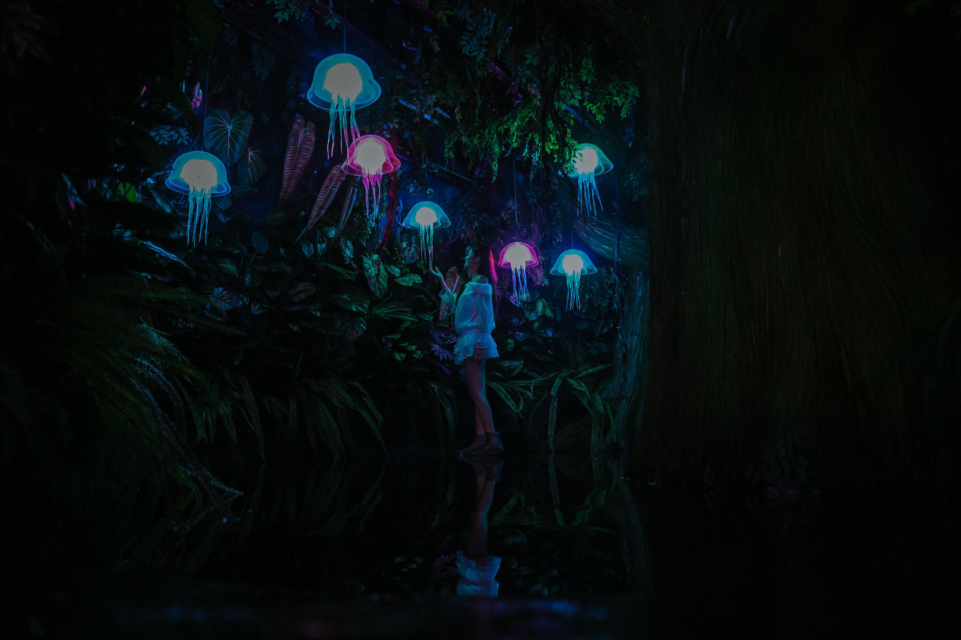 Interactive Light Art Ticket at Sun World Ba Na Hills - Thumbnail 10