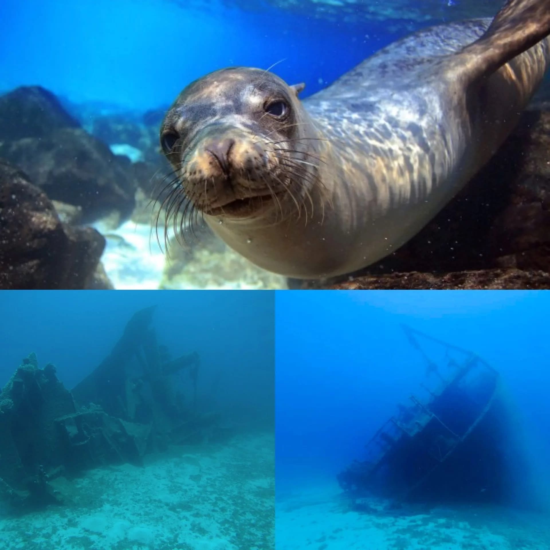 Half-Day Snorkelling Trip in Athens with PADI 5 Star Dive Center - Thumbnail 3