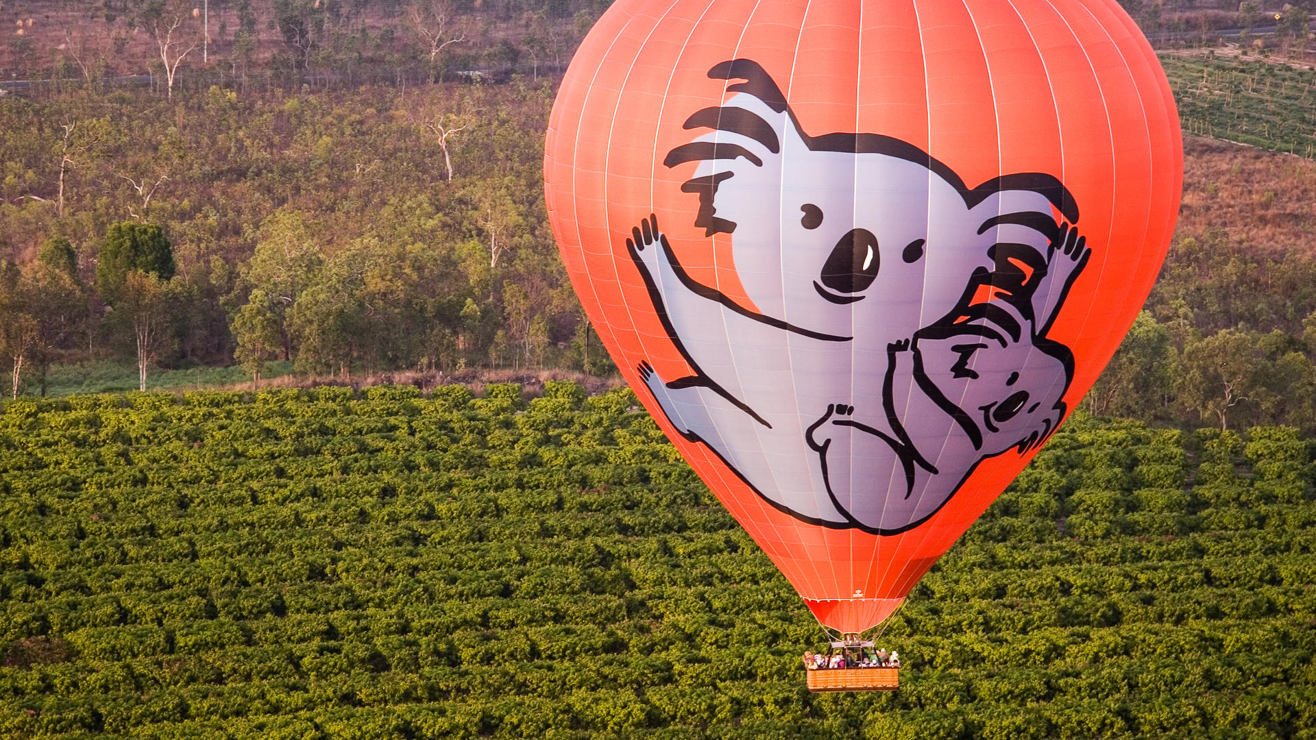 Hot Air Balloon Experience in Cairns and Port Douglas - Thumbnail 11