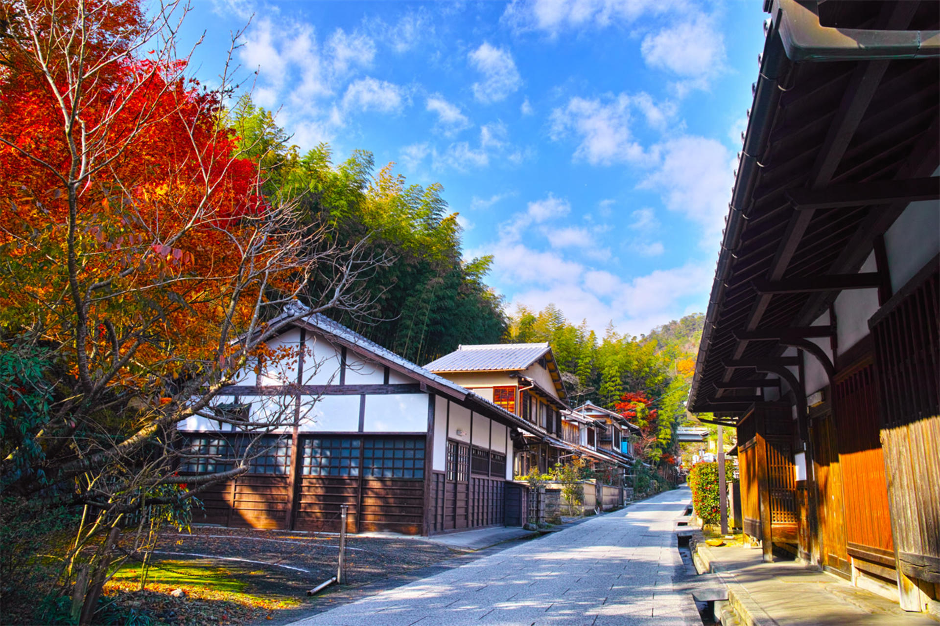 Nara Deer & Fushimi Inari-taisha Shrine & Arashiyama Day Trip (Departing from Osaka) - Image 1