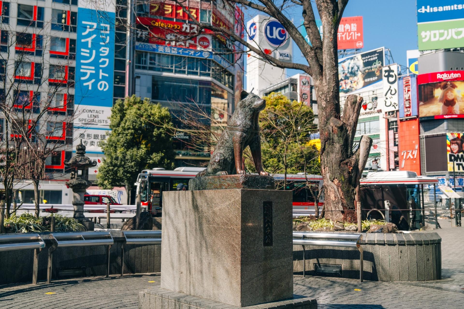 Tokyo Early Morning Tour Asakusa Meiji Shrine and Tsukiji Market - Thumbnail 11