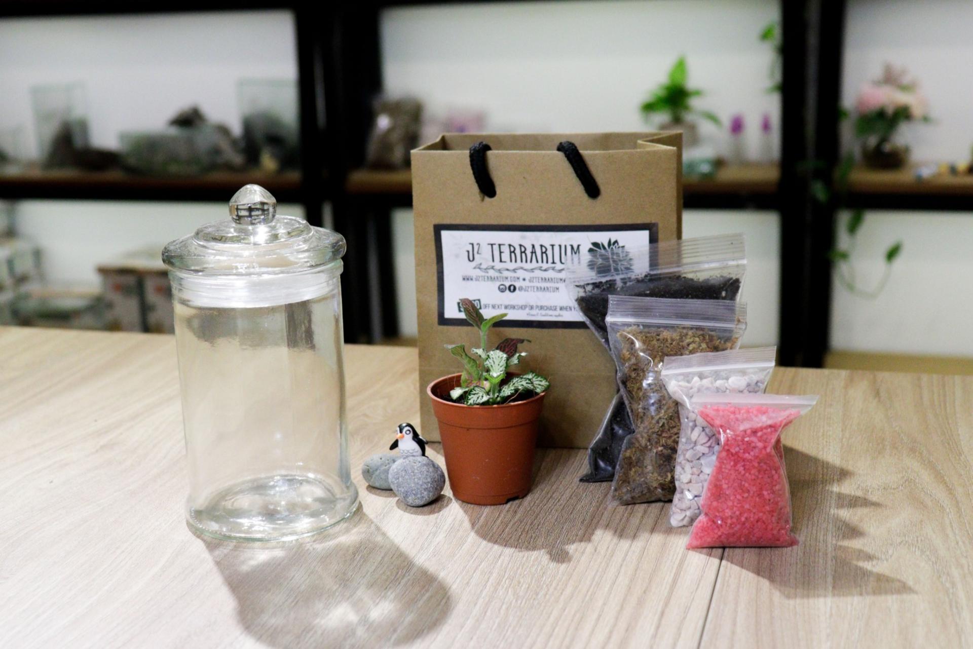 Rainforest Terrarium Workshop in Yishun - Thumbnail 8