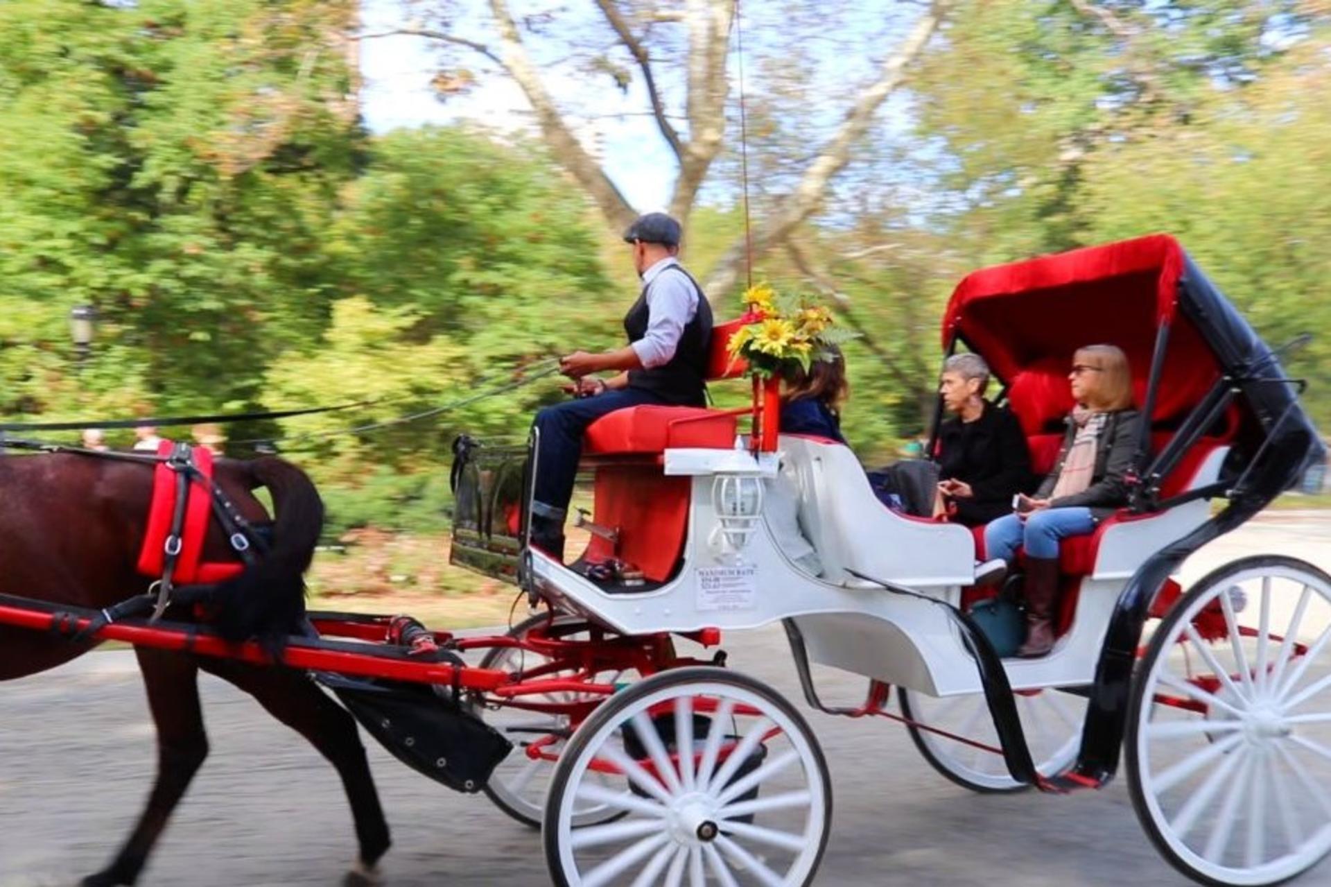  New York City: Horse-Drawn Carriage Tour Through Central Park - Thumbnail 2
