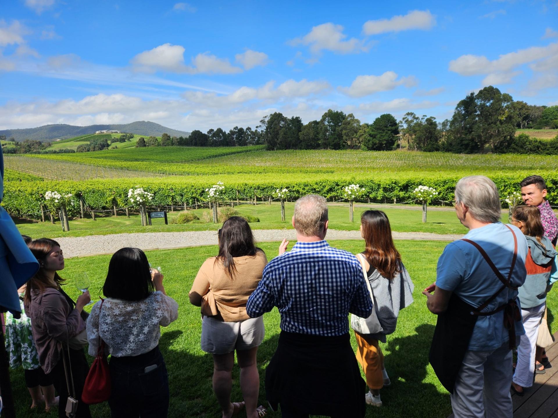 Yarra Valley Wine, Gin, Whisky and Chocolate Tour - Thumbnail 3
