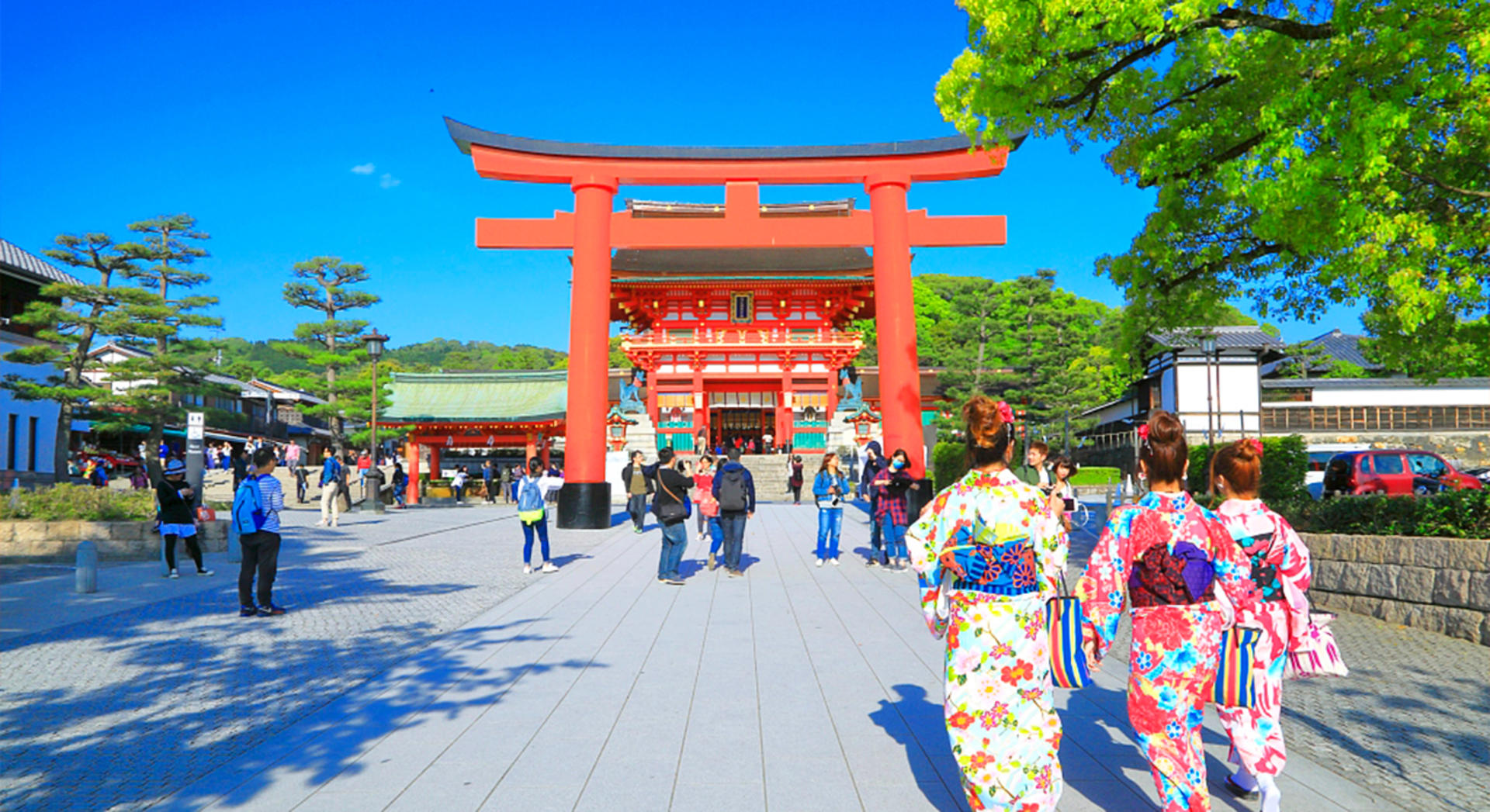 Kyoto Nara Arashiyama Day Trip | Nara Park Deer Feeding & Fushimi Inari Shrine's Thousand Torii Gates & Arashiyama Scenic Railway & Bamboo Forest Path | Kyoto or Osaka Drop-off - Thumbnail 11