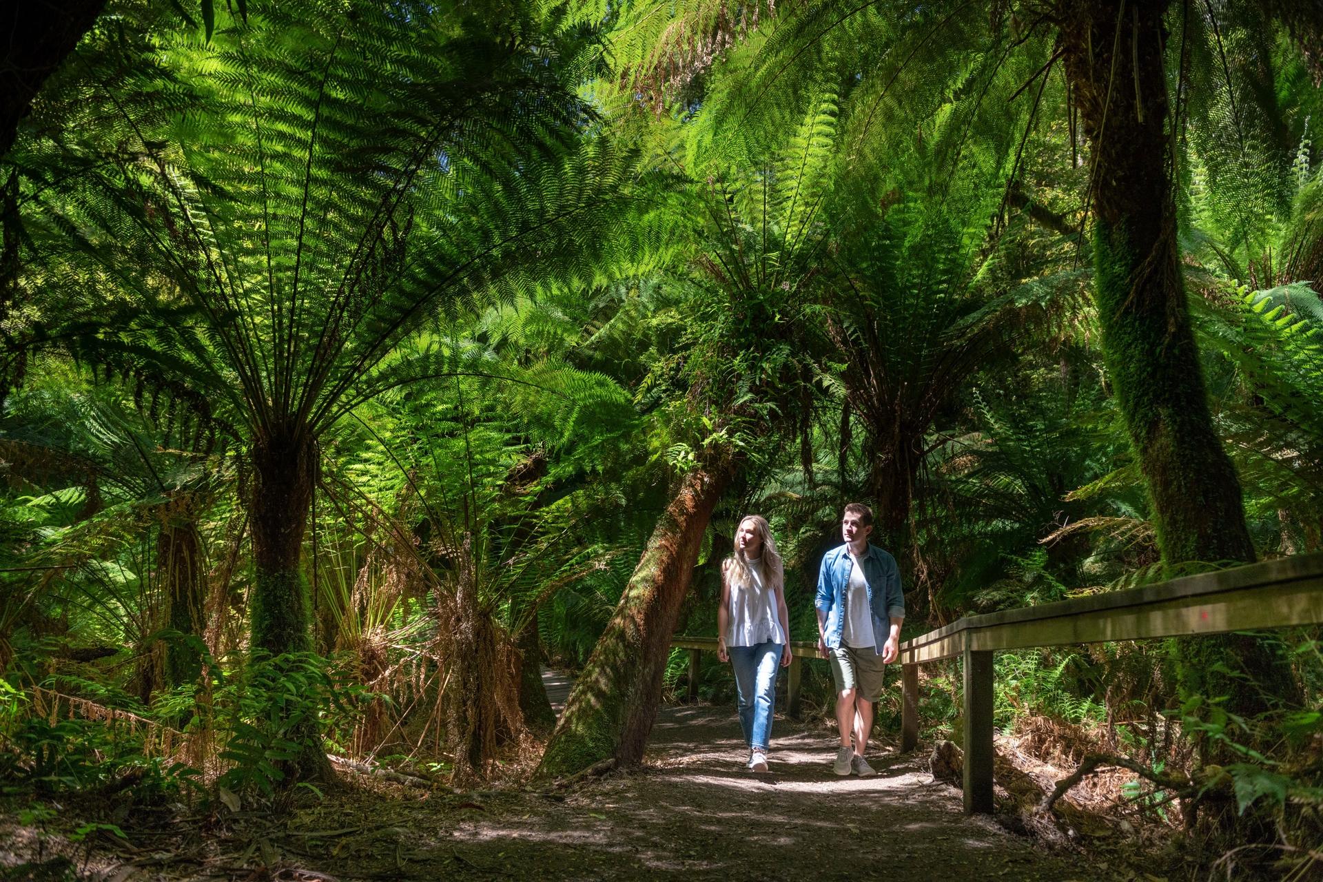 Great Ocean Road and 12 Apostles Day Tour - Thumbnail 4