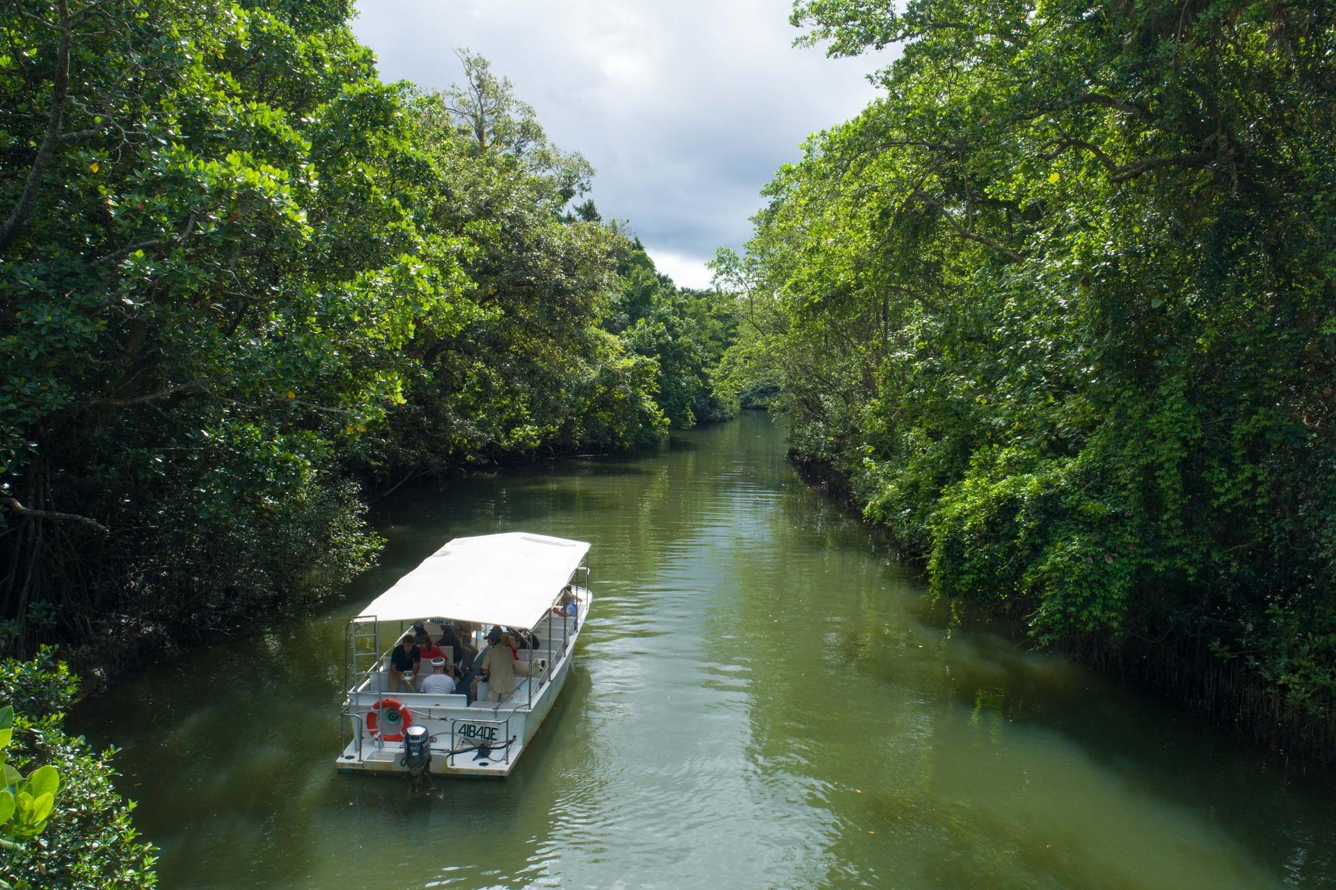 3 Day Combo: Great Barrier Reef, Rainforest and Outback - Thumbnail 8