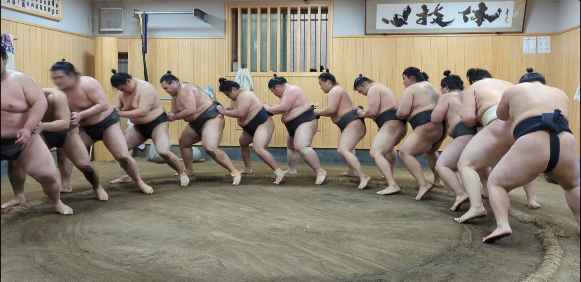 Find Your Favorite Wrestler at Morning Sumo Practice - Thumbnail 4