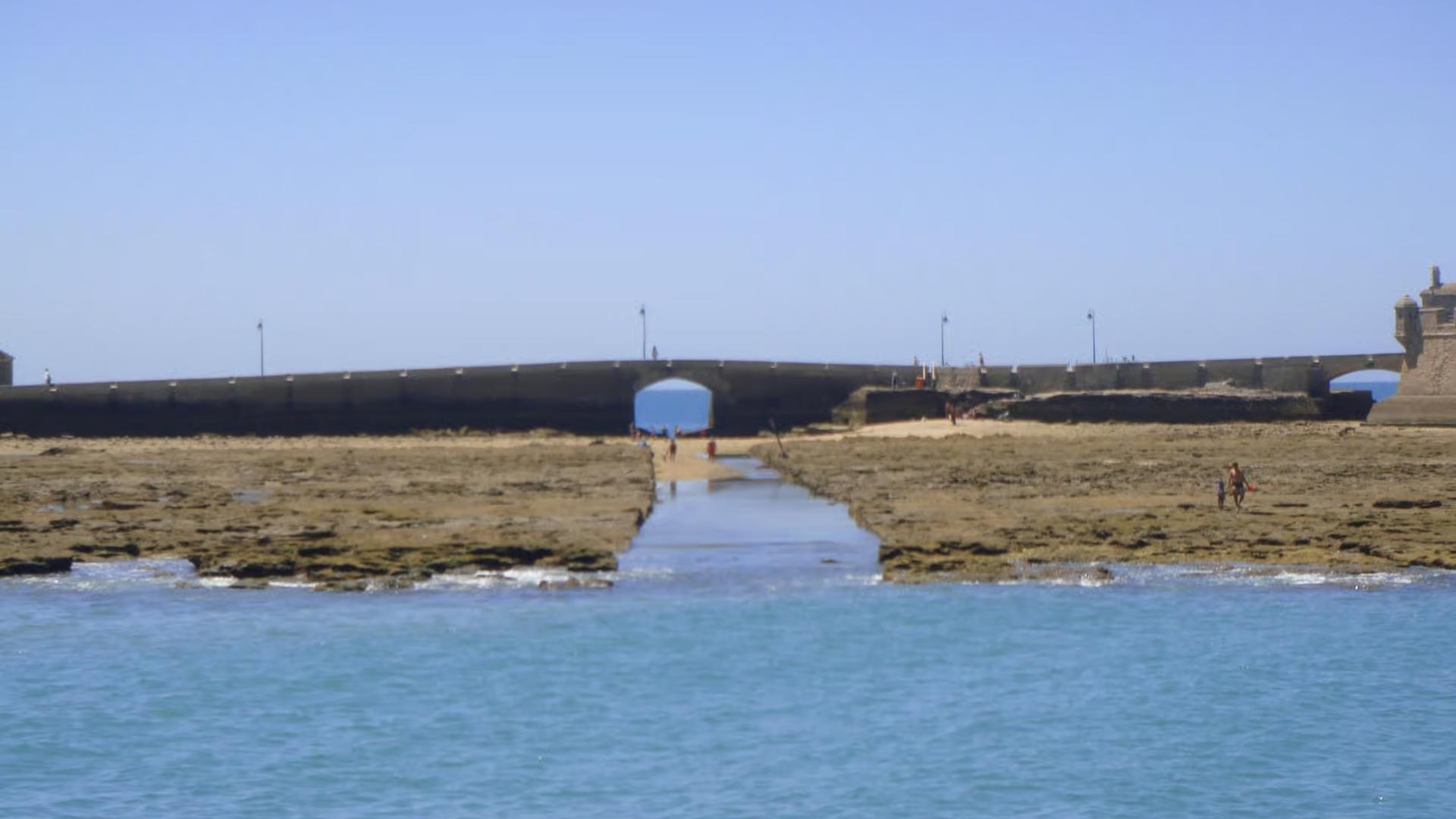 Catamaran sightseeing experience in Cadiz  - Thumbnail 5